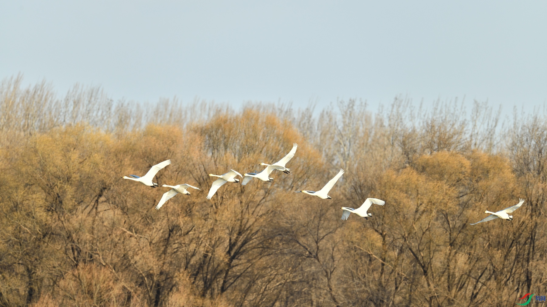 DSC_6665.JPG