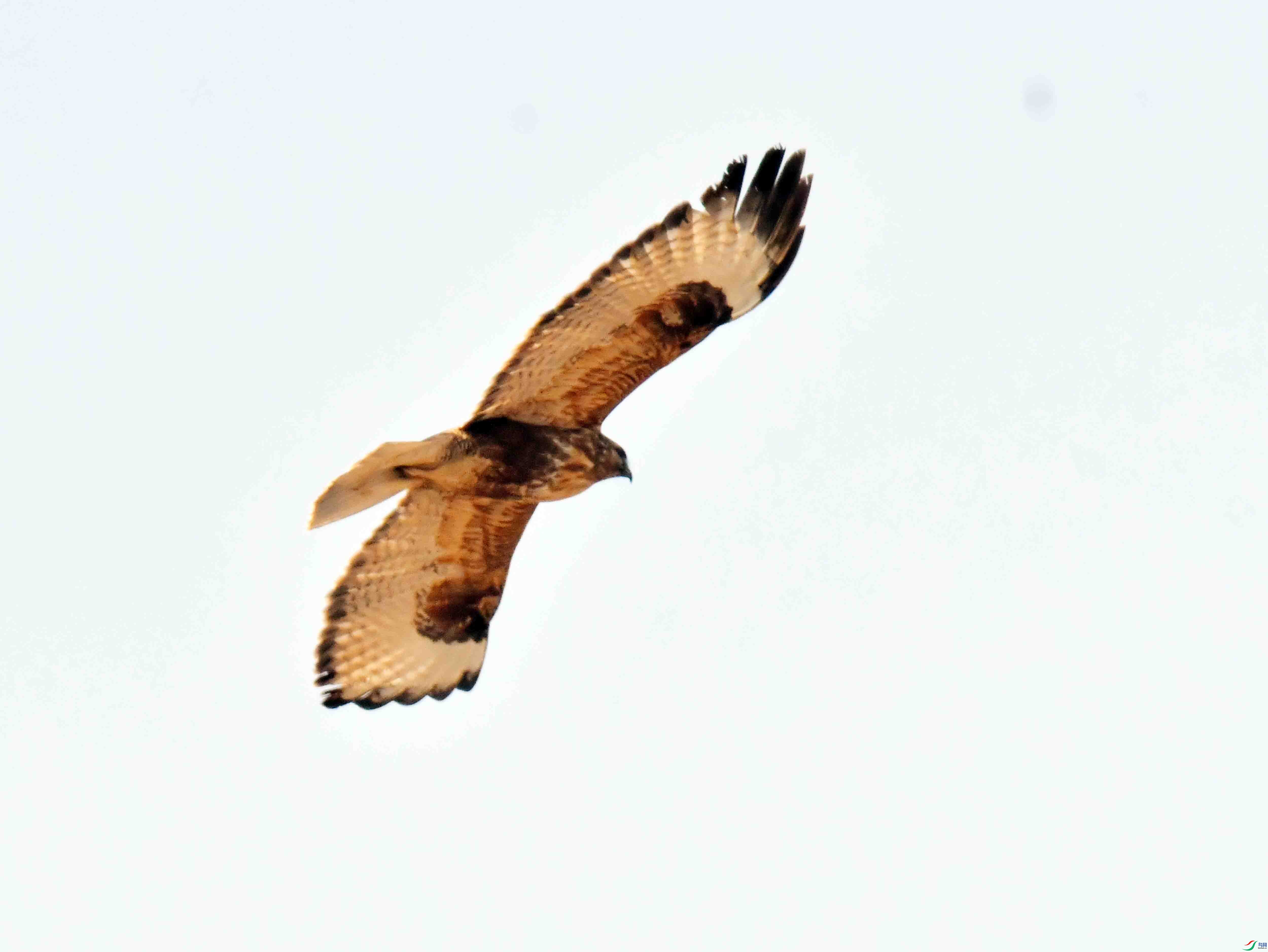 DSC_3076.JPG