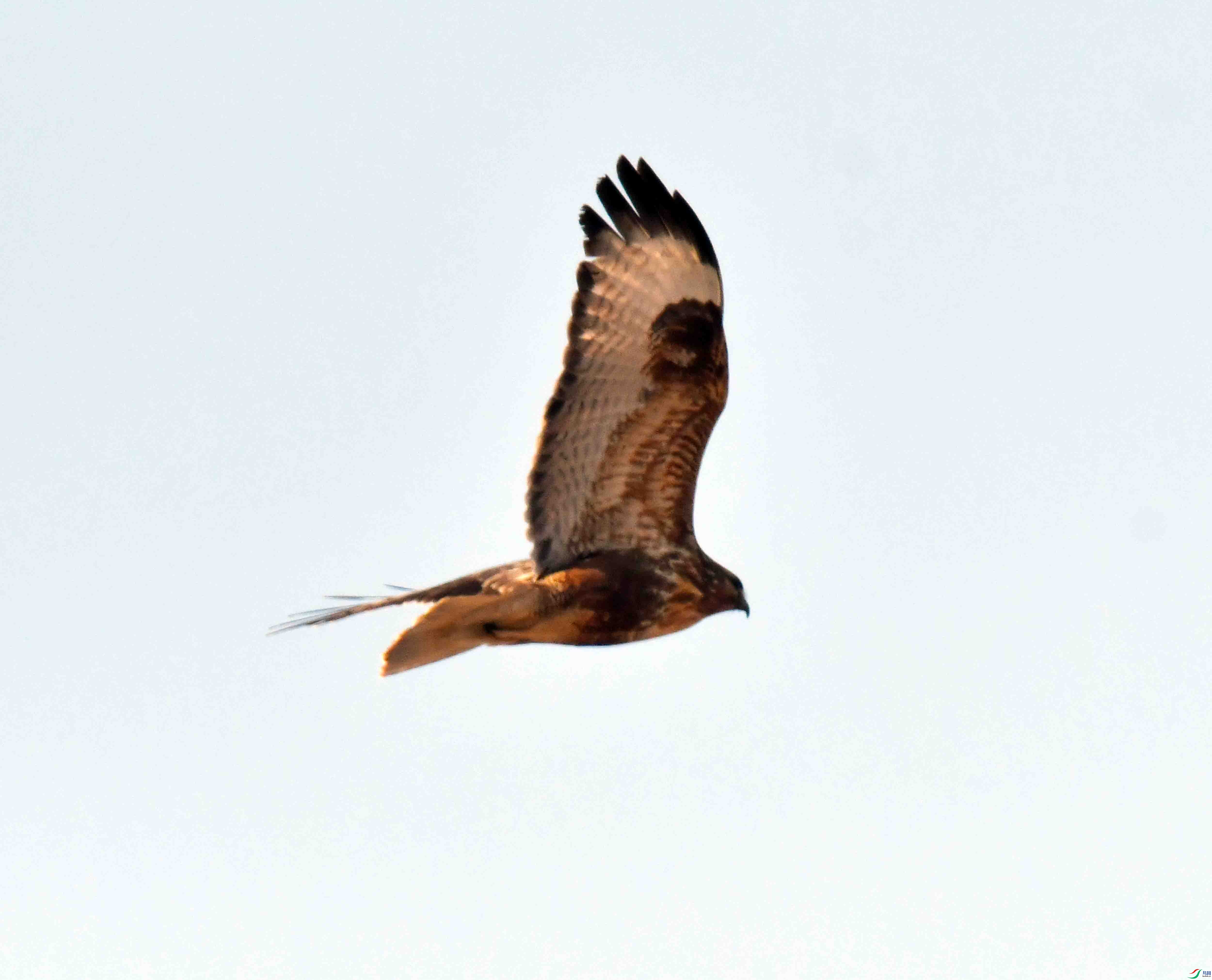 DSC_3075.JPG