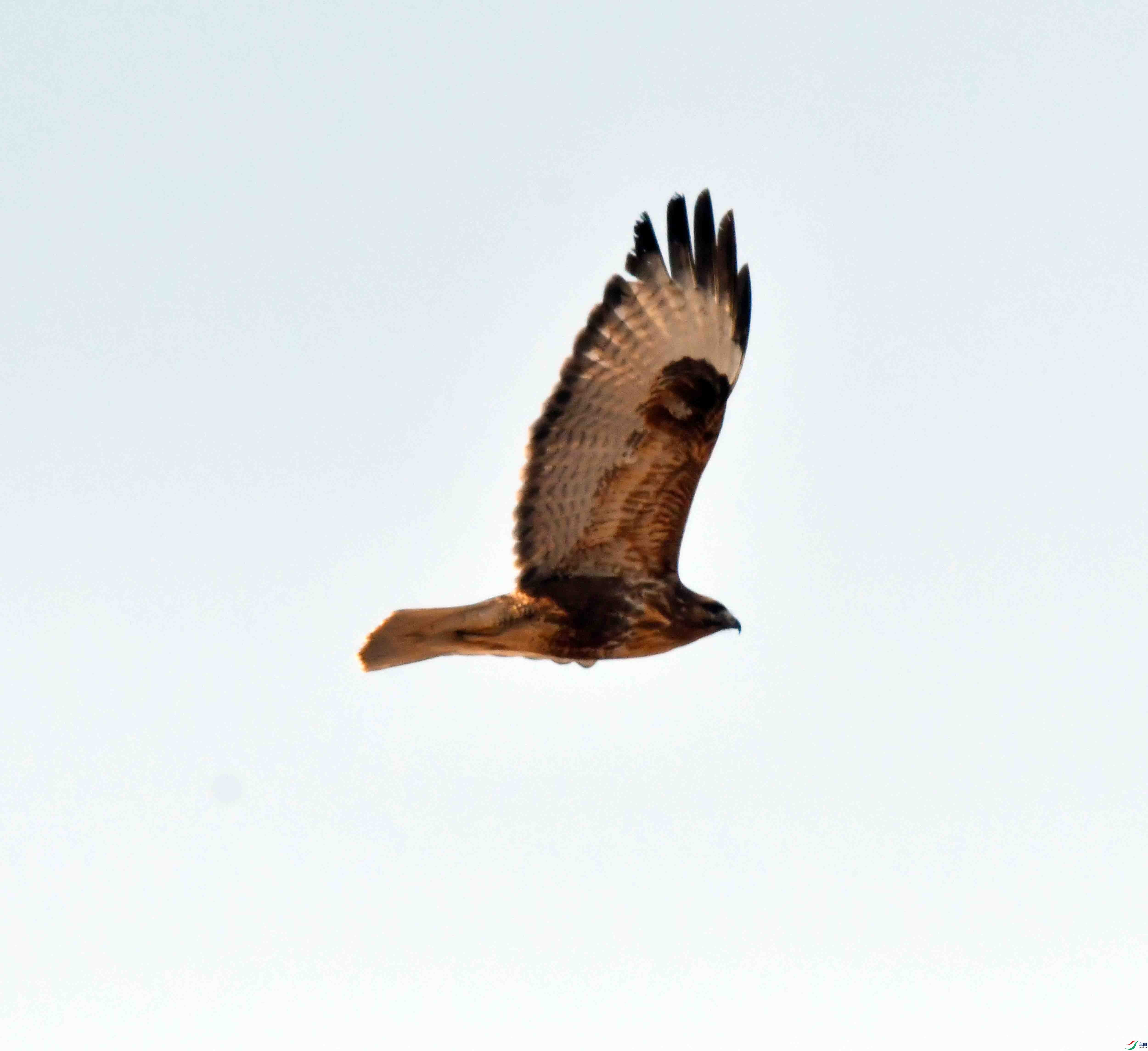 DSC_3073.JPG