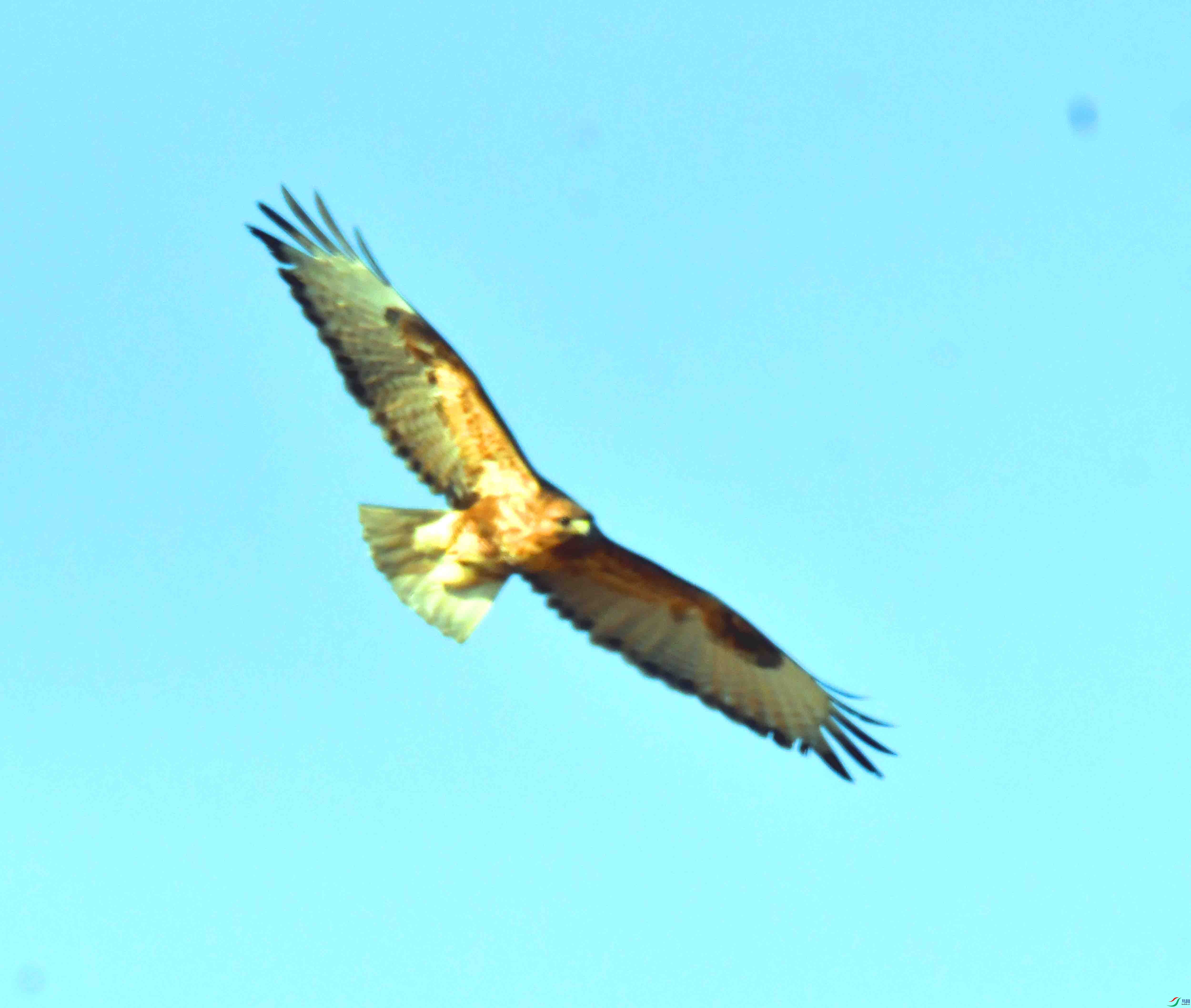 DSC_3089.JPG