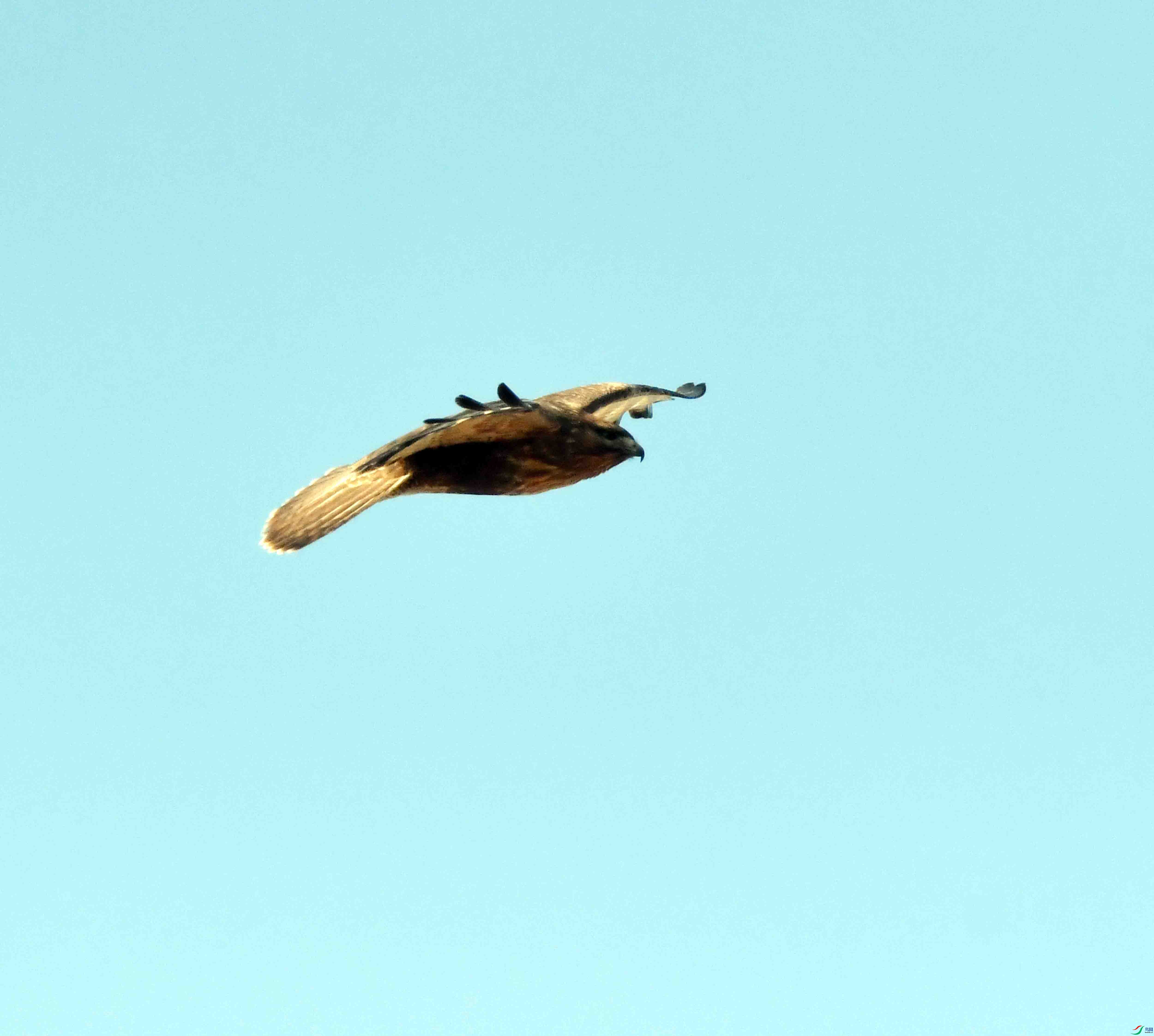 DSC_3099.JPG