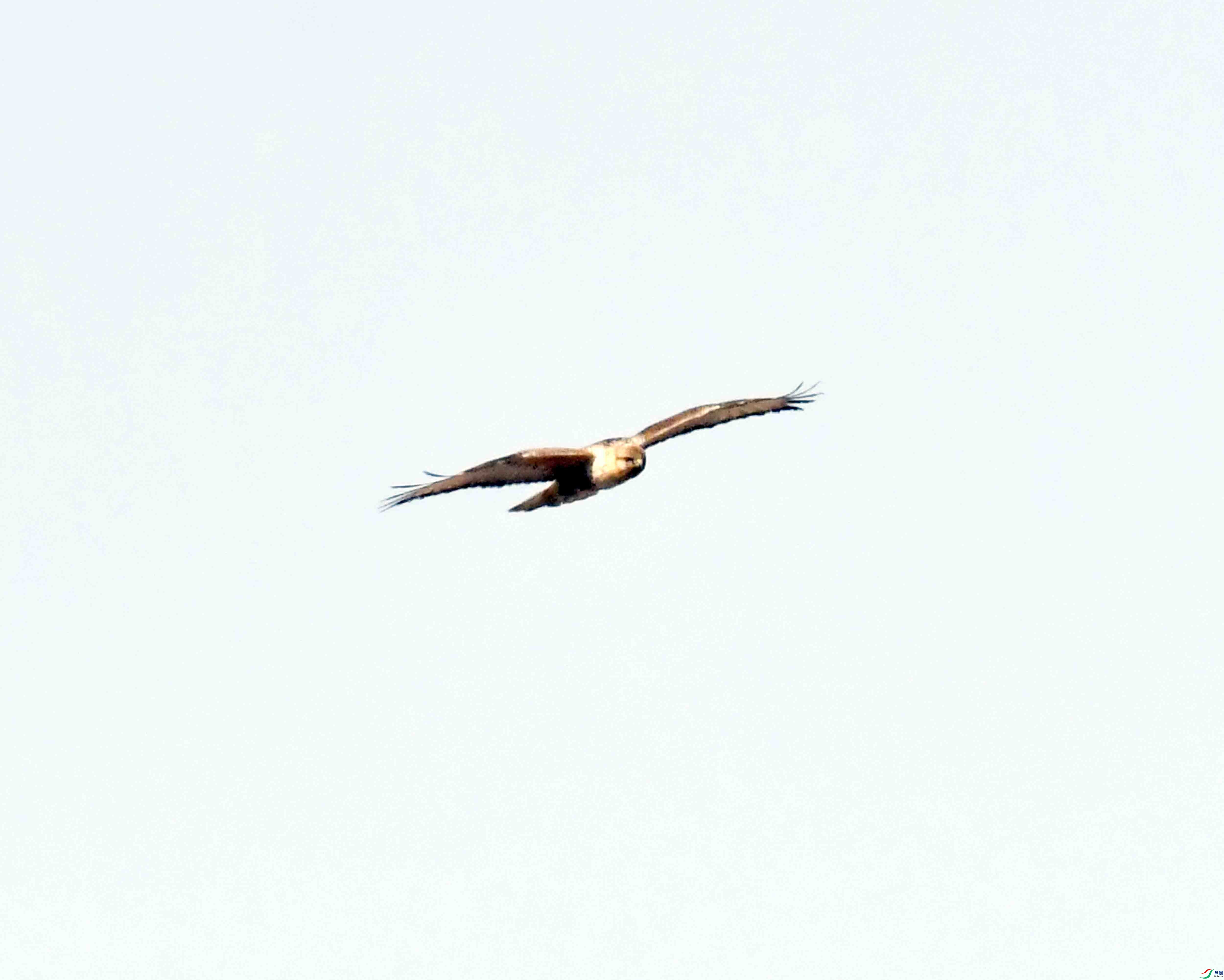 DSC_3196.JPG