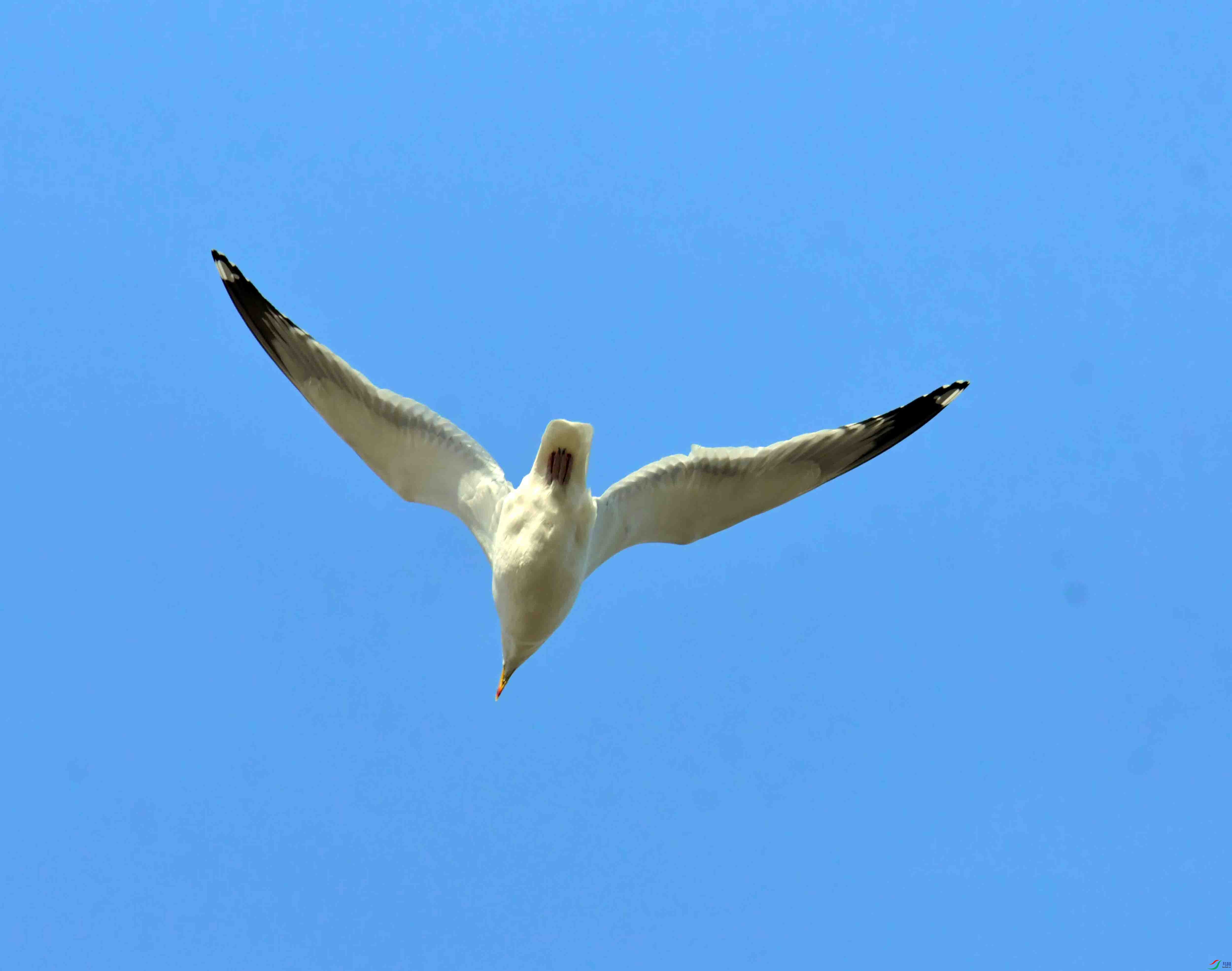 DSC_1166.JPG