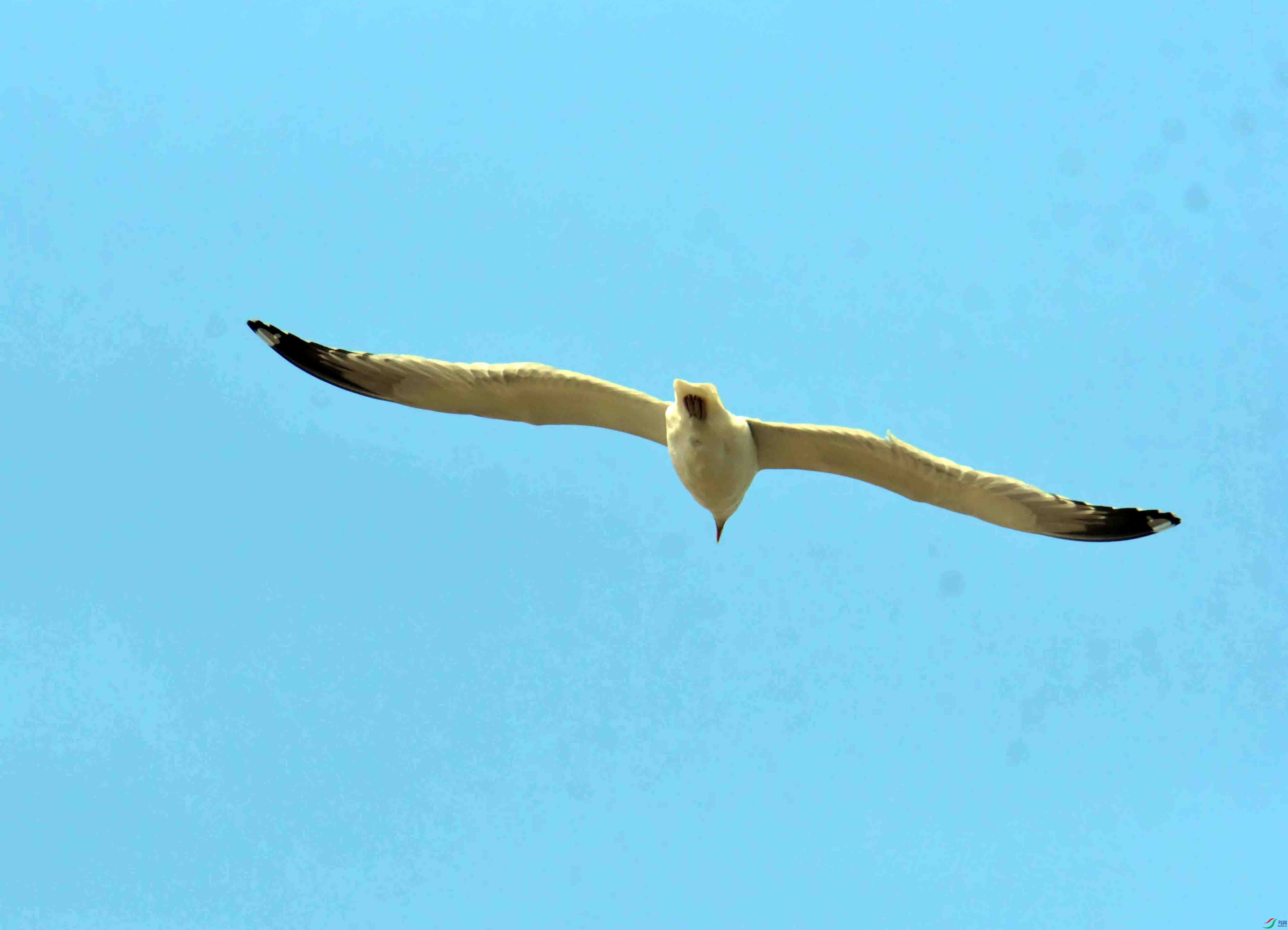 DSC_1169.JPG