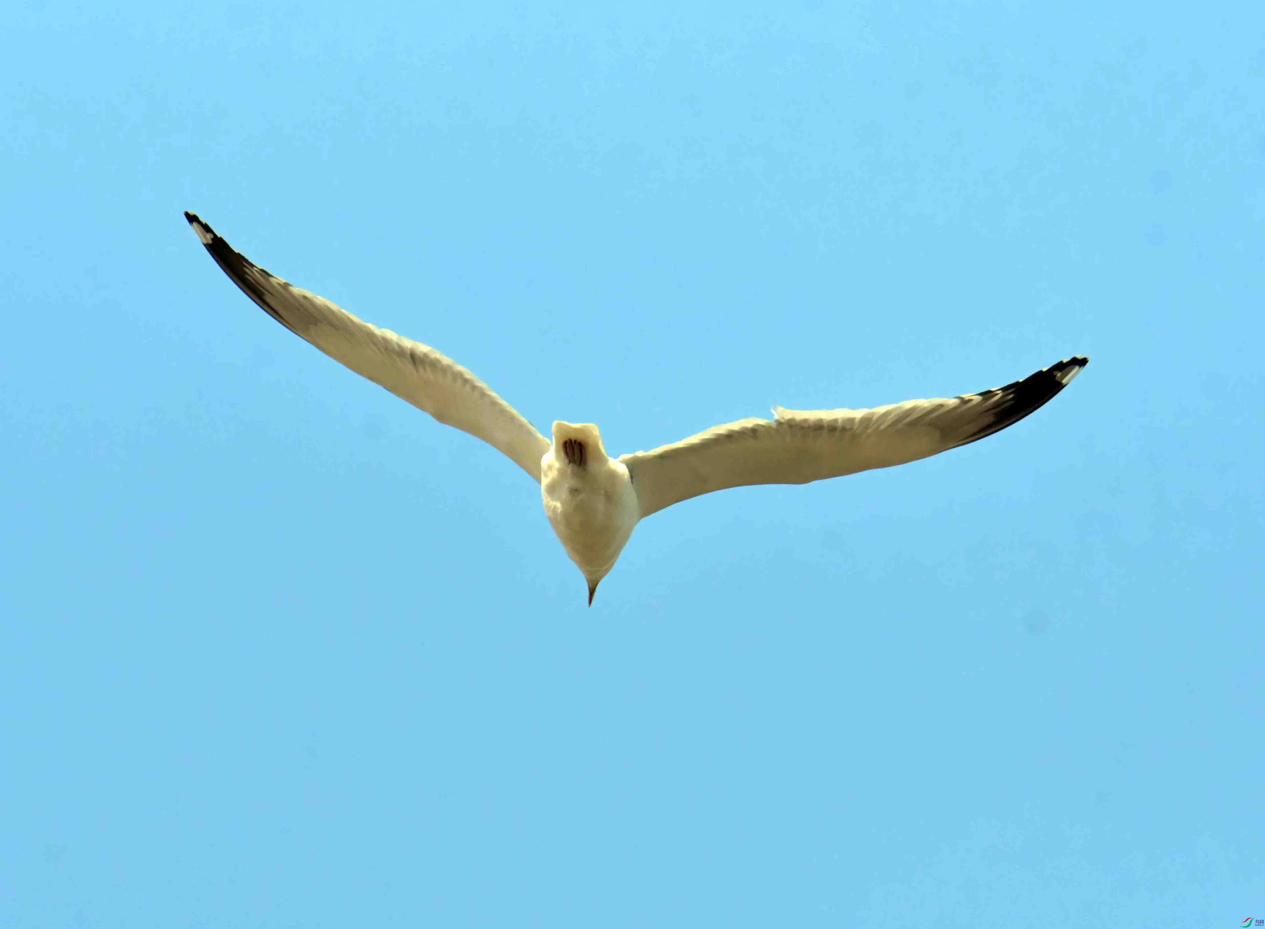 DSC_1168.JPG
