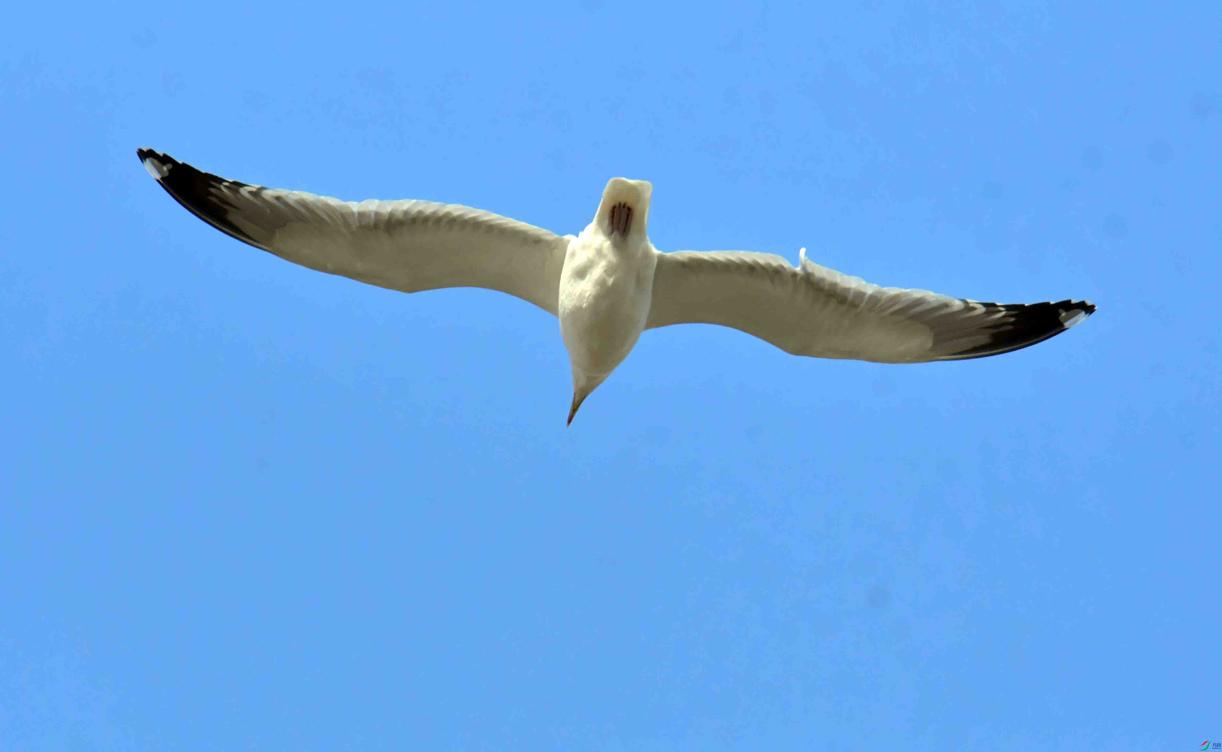 DSC_1167.JPG