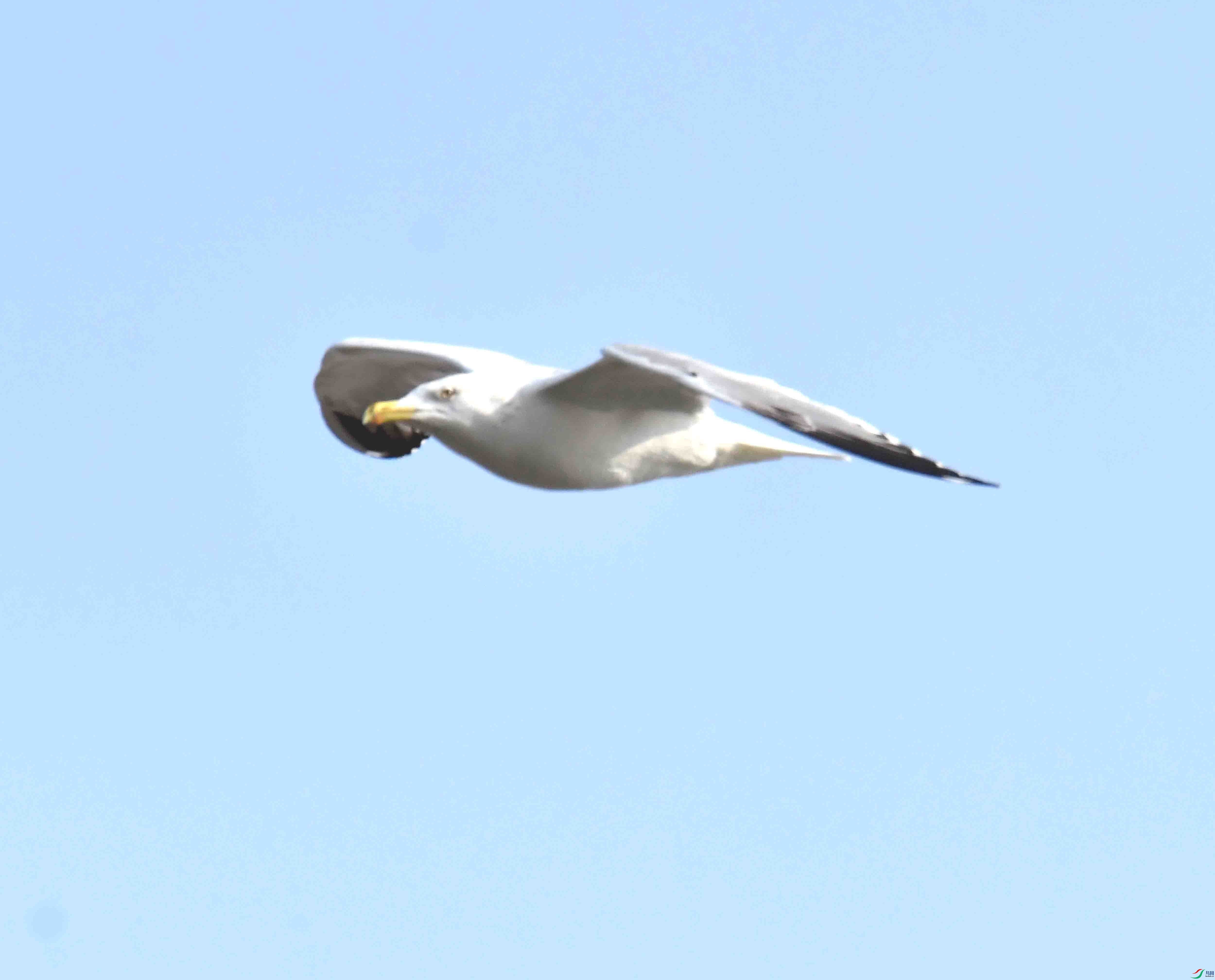 DSC_3424.JPG