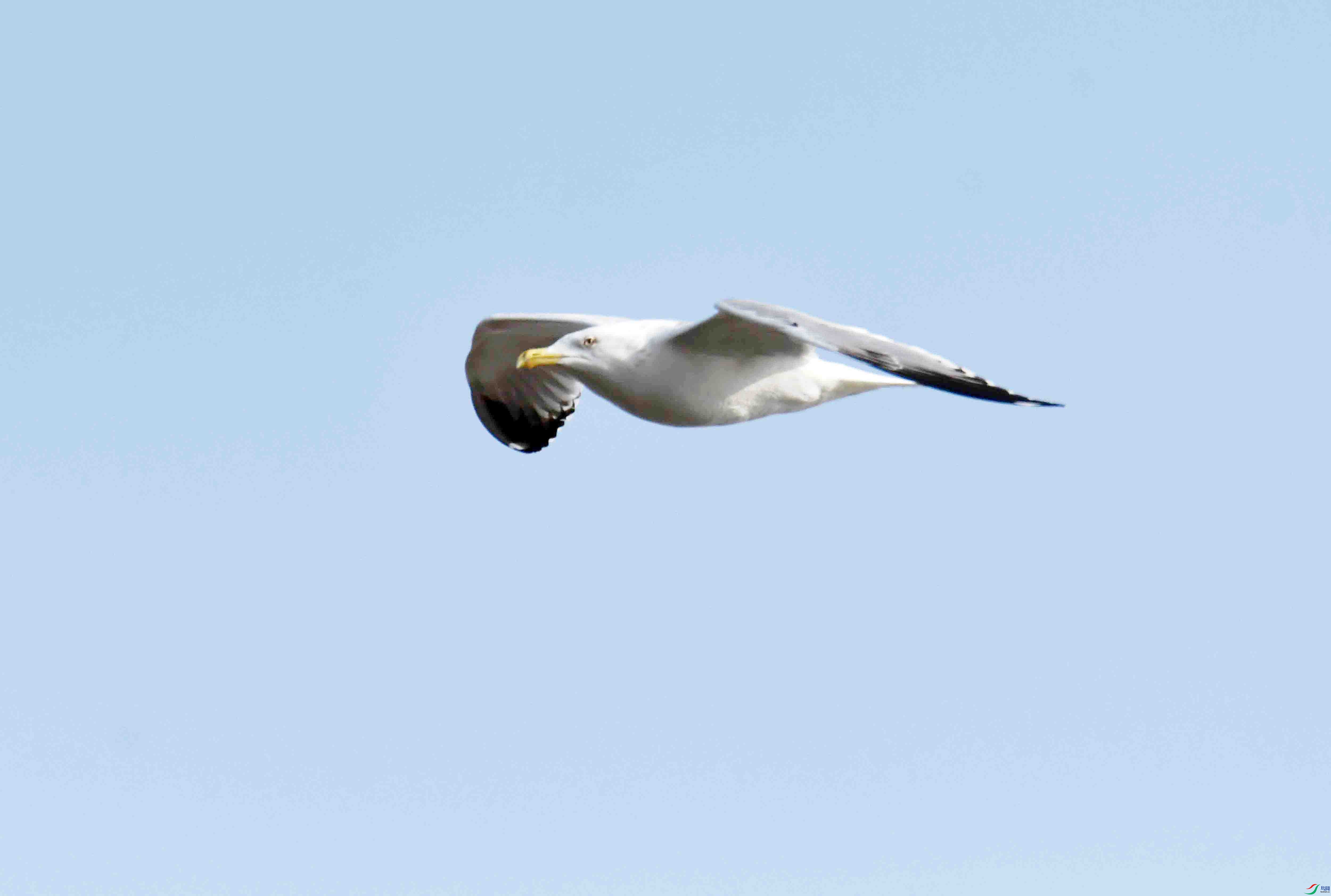 DSC_3423.JPG