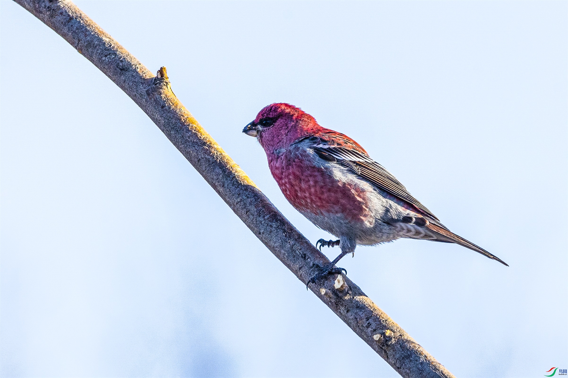 1K3A8530 ����1.jpg