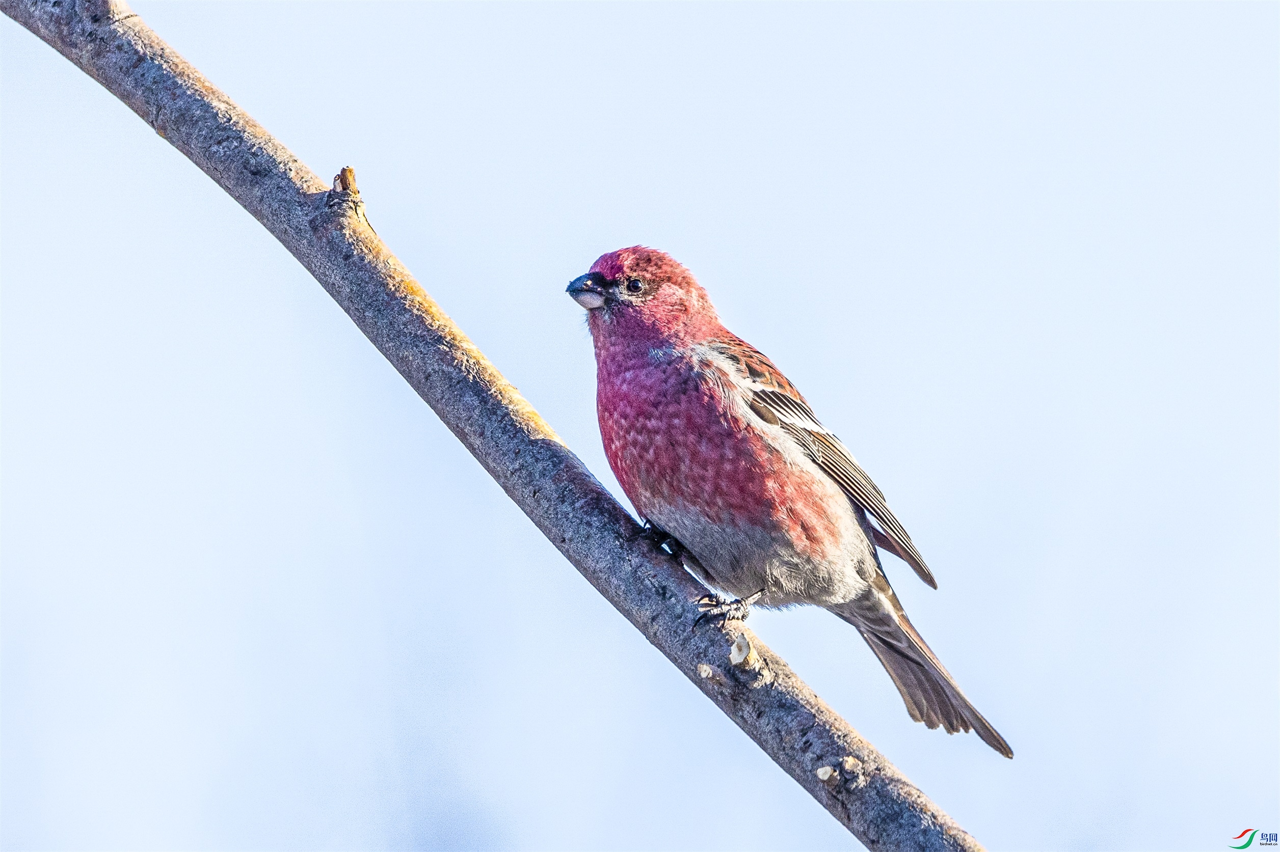 1K3A8533 ����1.jpg