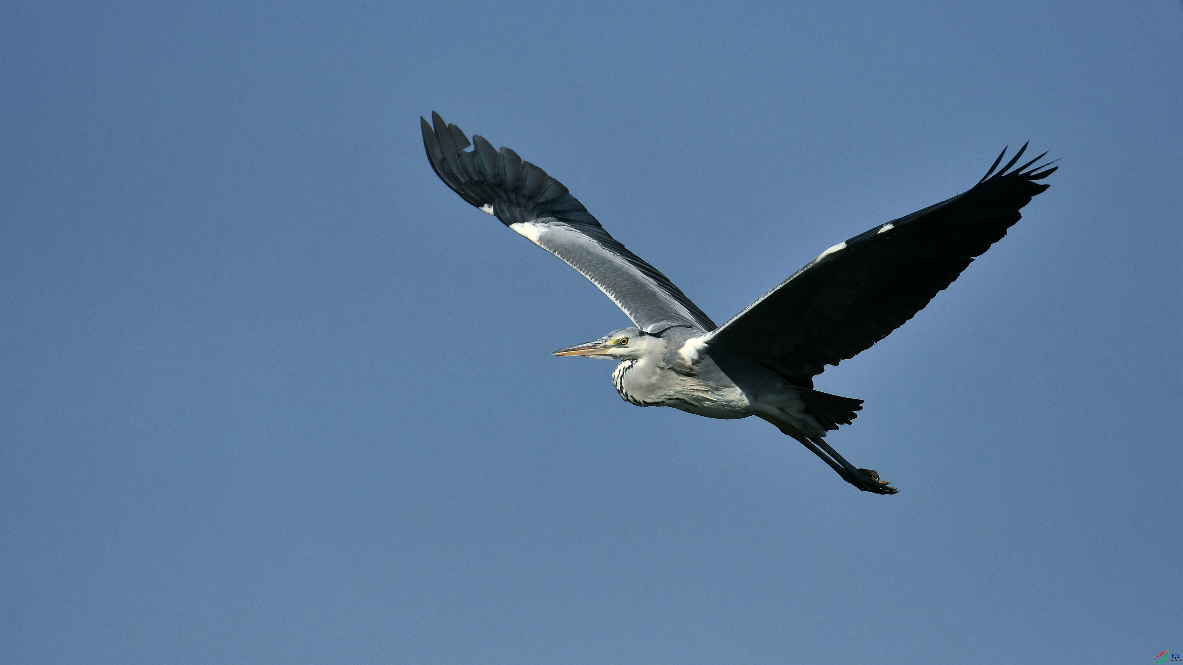DSC_0404.JPG