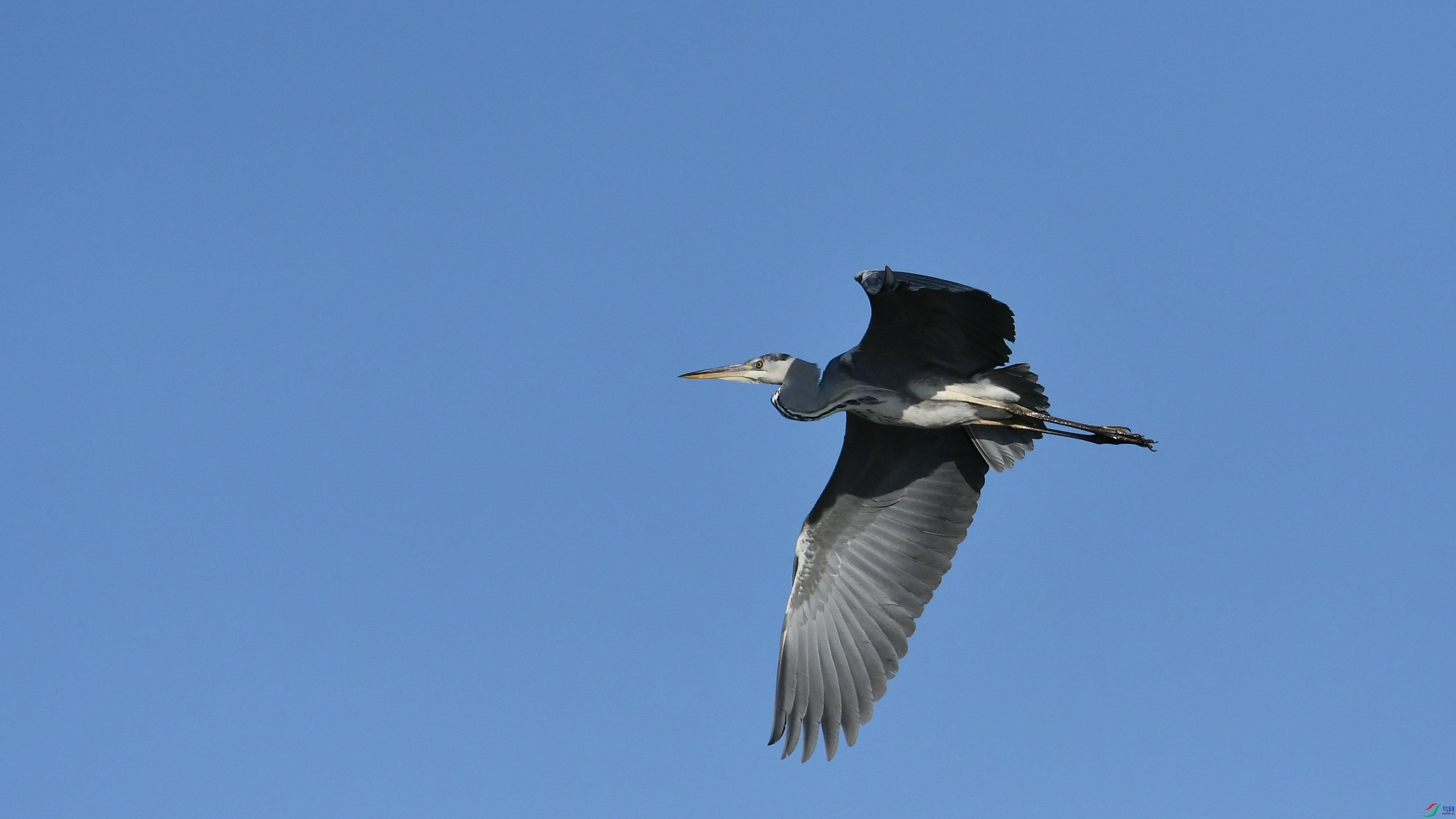 DSC_0279.JPG
