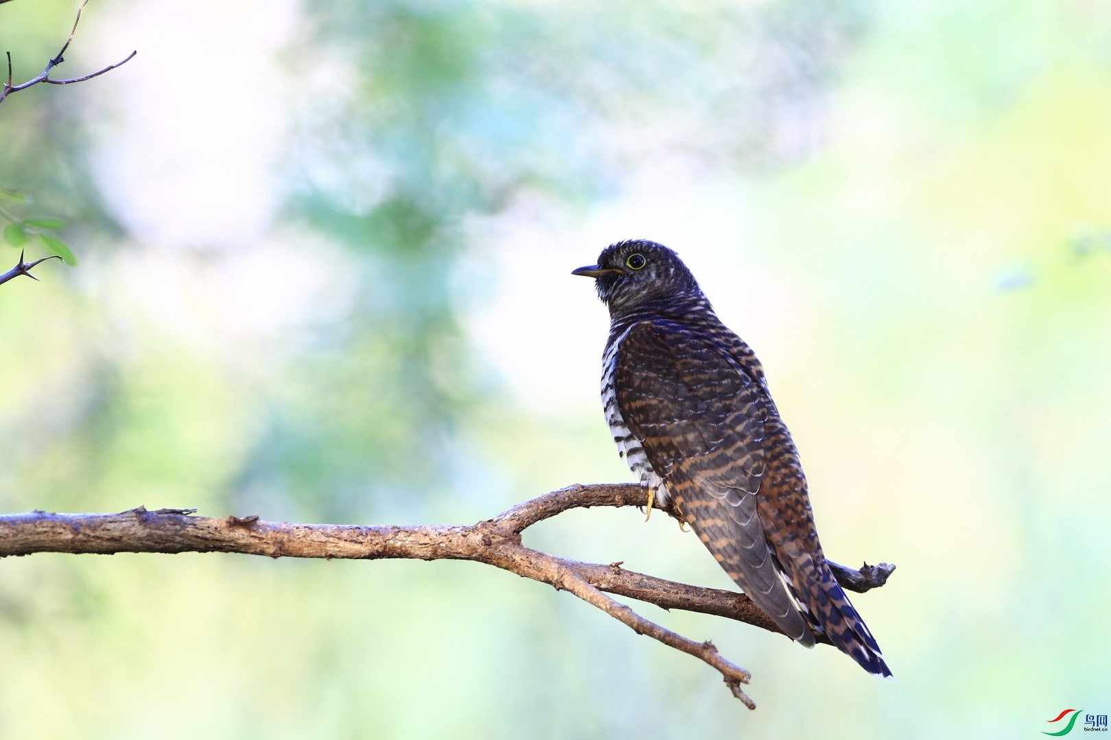 2 �жž���   _MG_2069.jpg