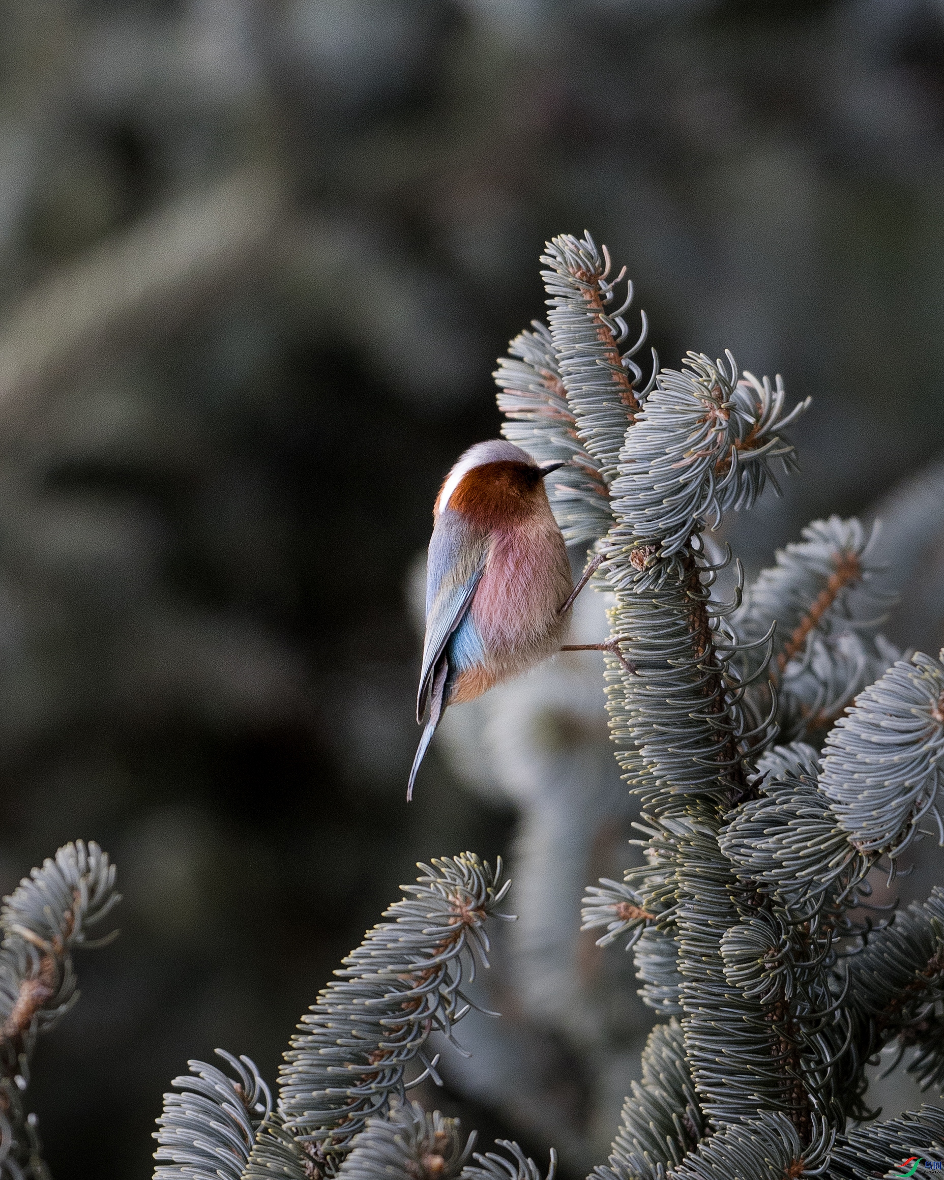 7X5A0509 ���� - ����.jpg