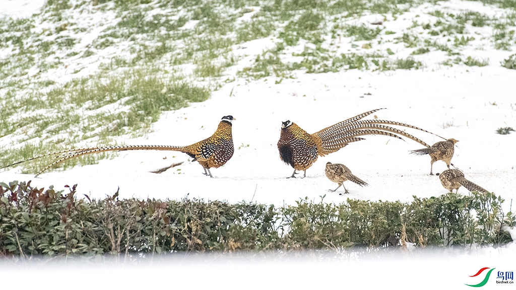 DSC_5737 ����2.jpg