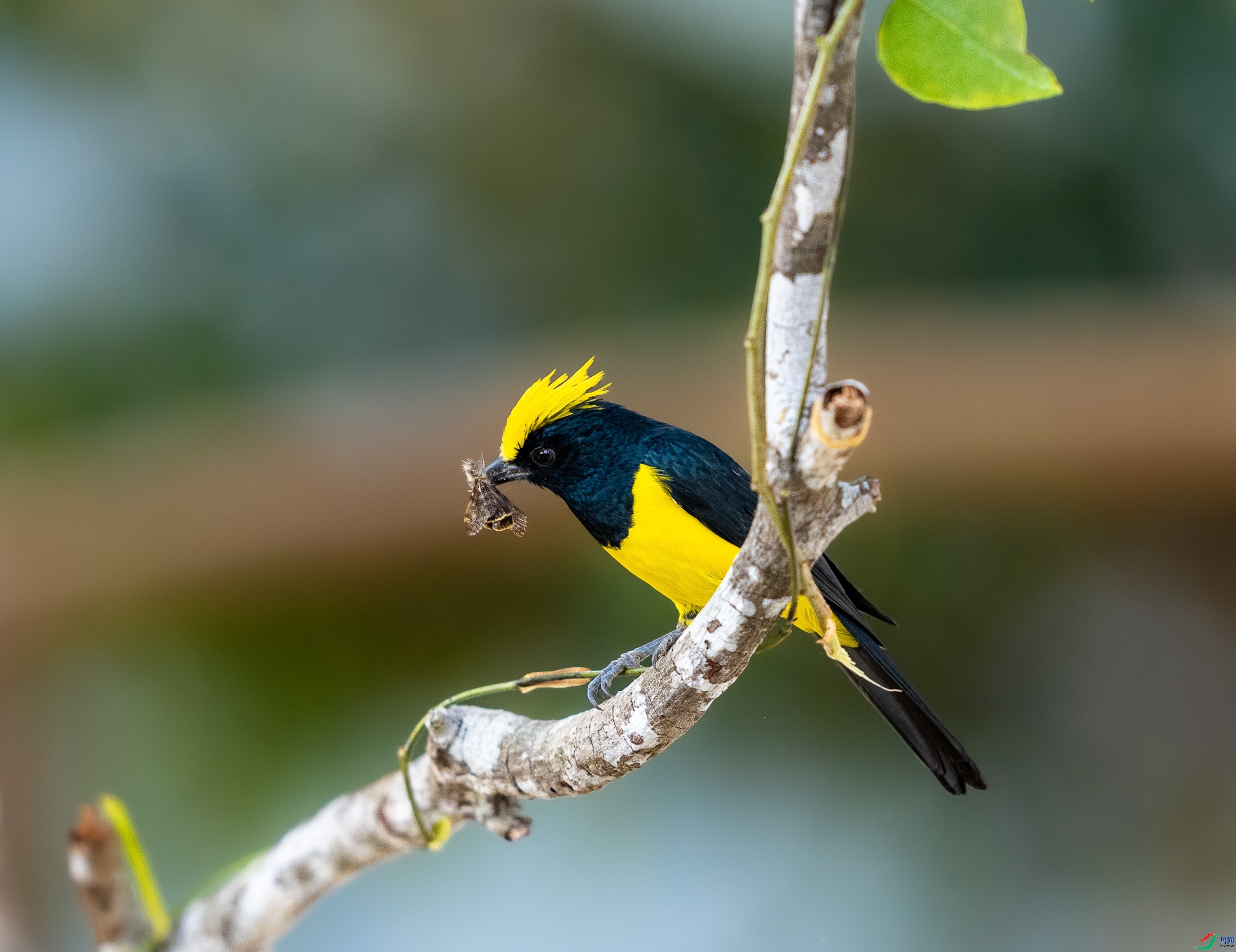 С������-��ȸ  ���� ��һ.jpg