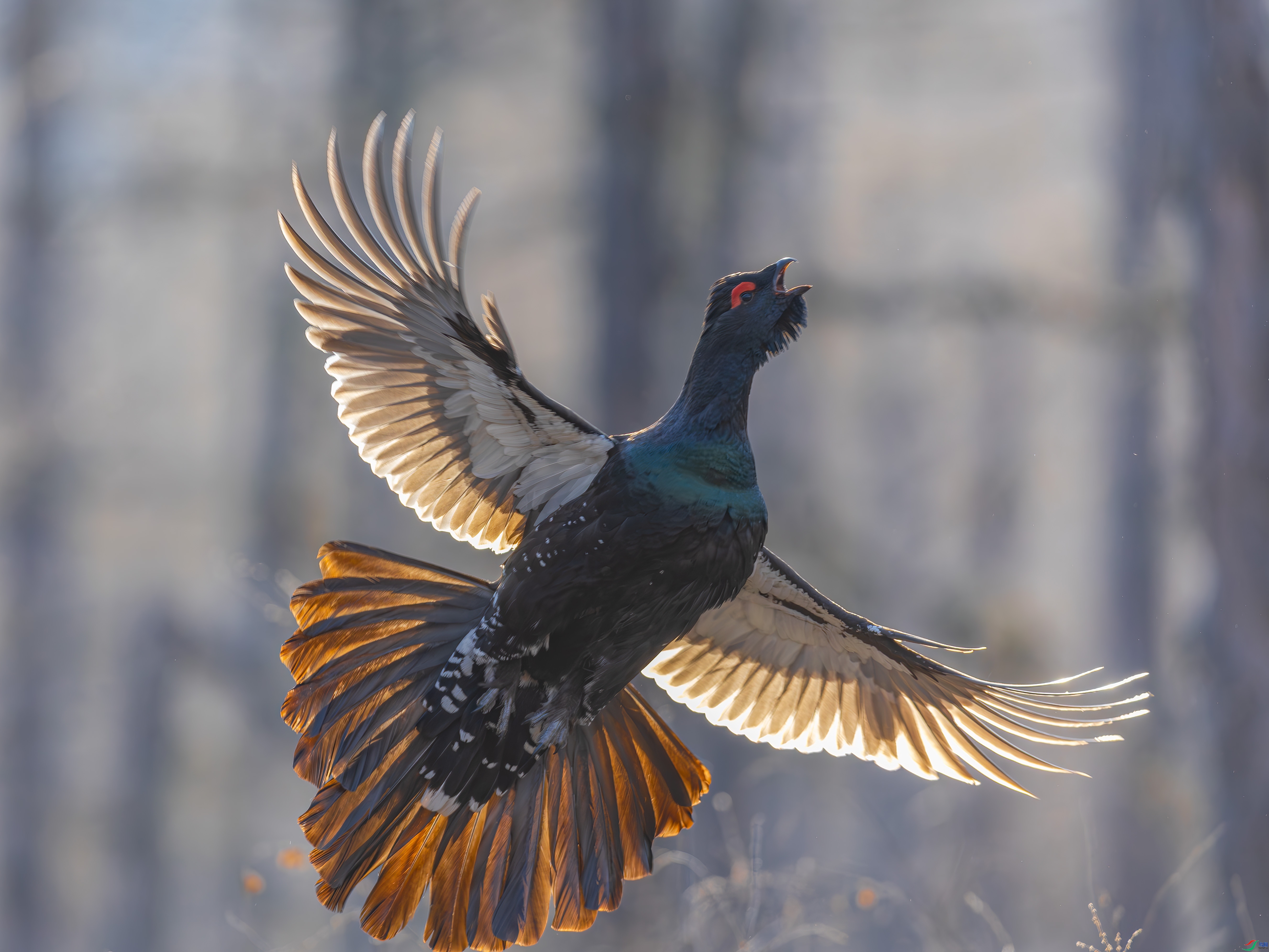 ����  ���� �䱾���� ��һ.jpg