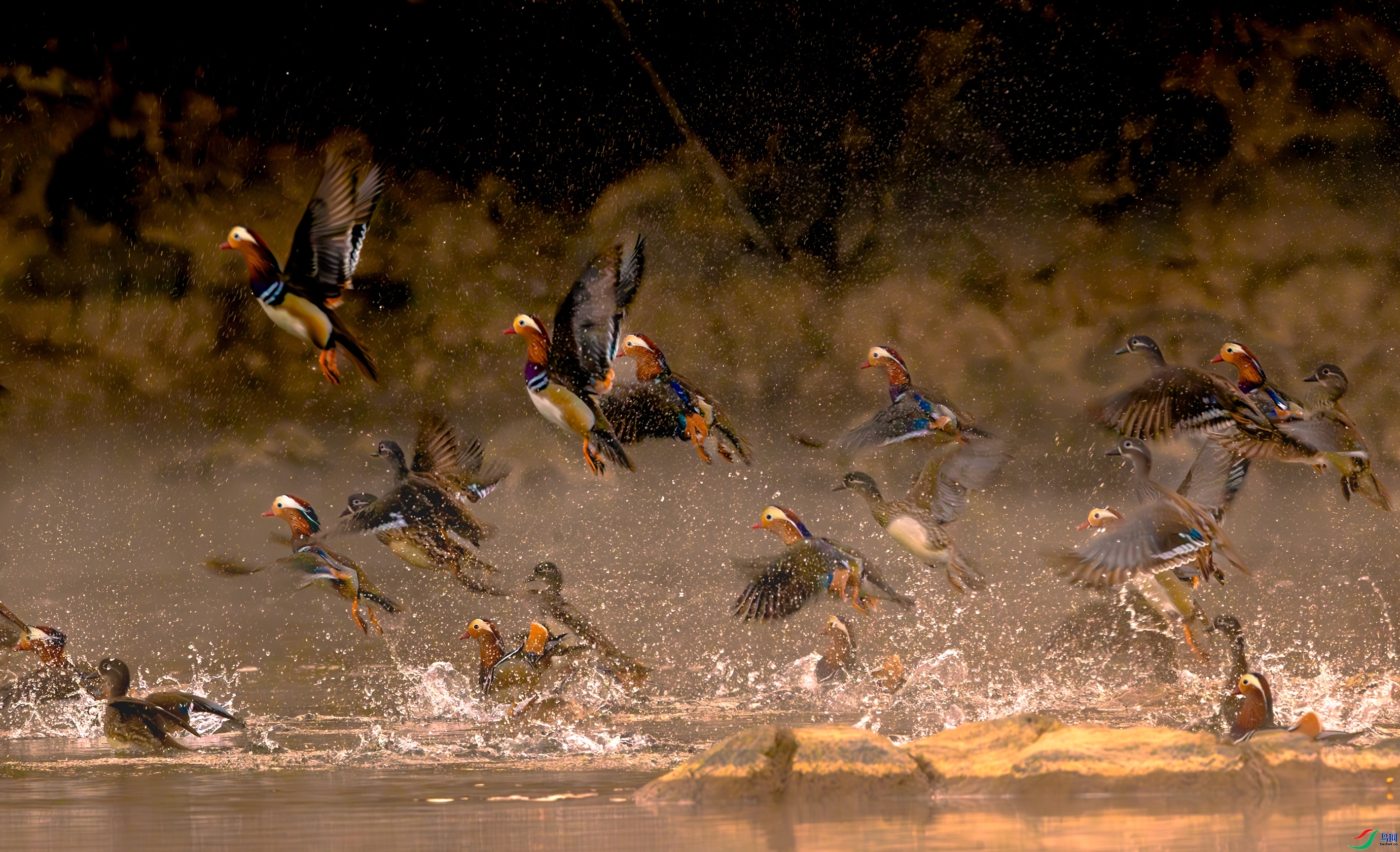 ԧ��Ⱥ�� ���߳��� ��һ.jpg