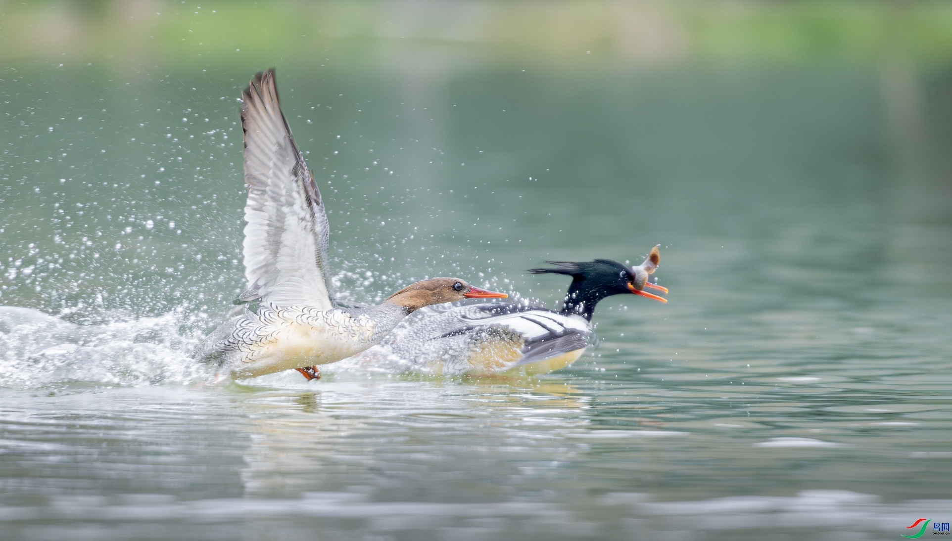 ׷�� ���� ���� �ܶ�.jpg