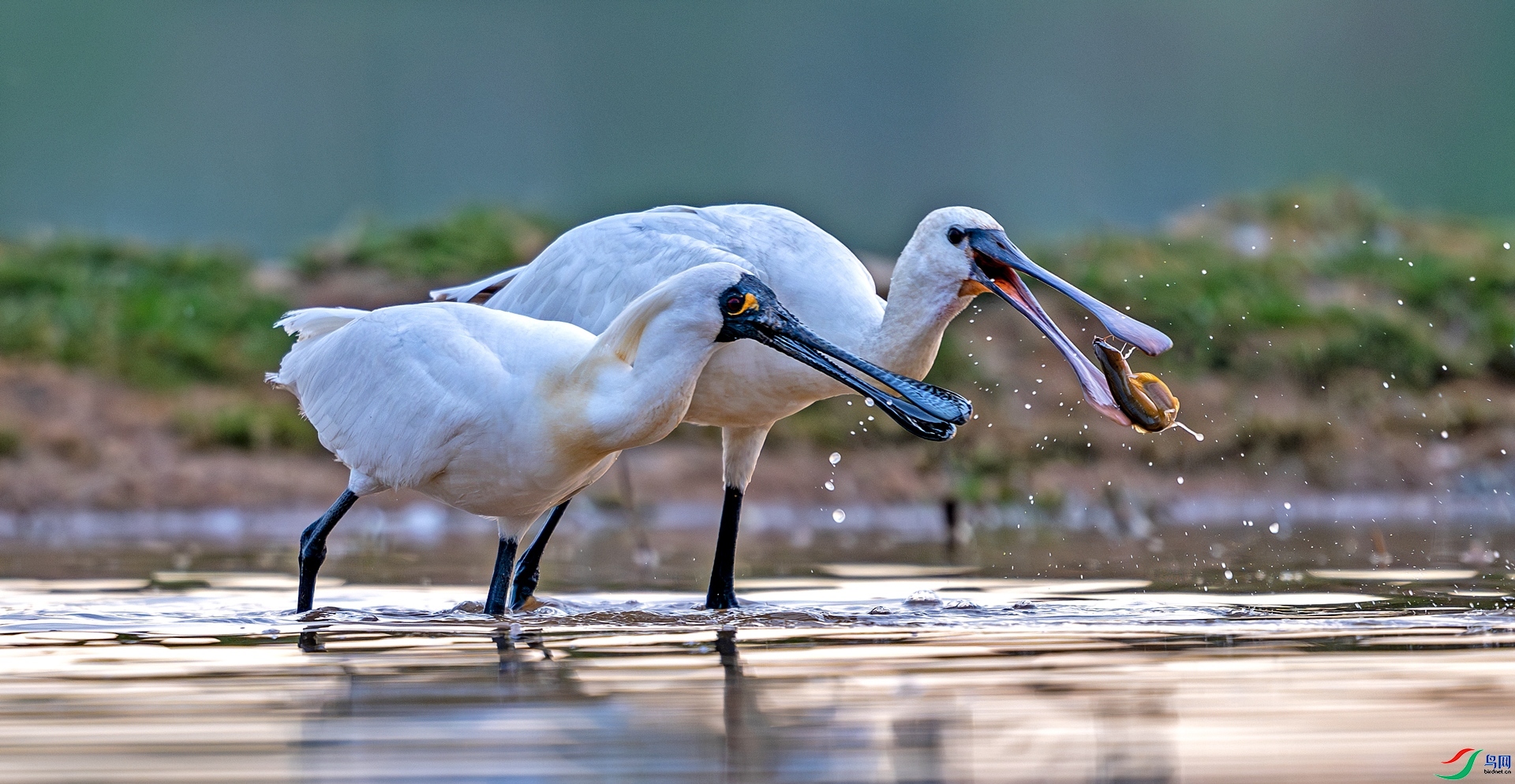 ��Ҳ��� ���� �ս� �ܶ�.jpg