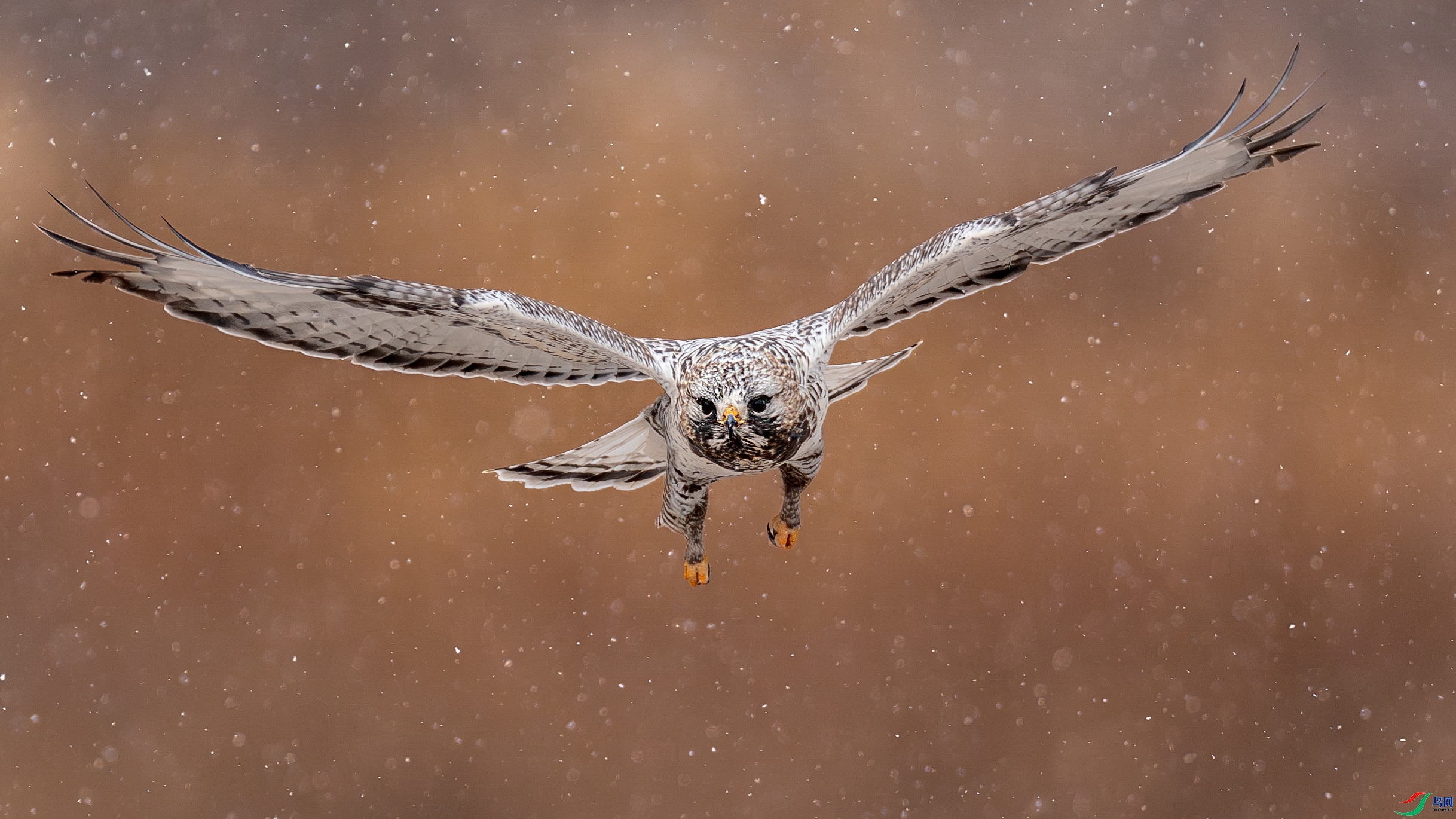 ��ѩ����  ���� ������ �ܶ�.jpg