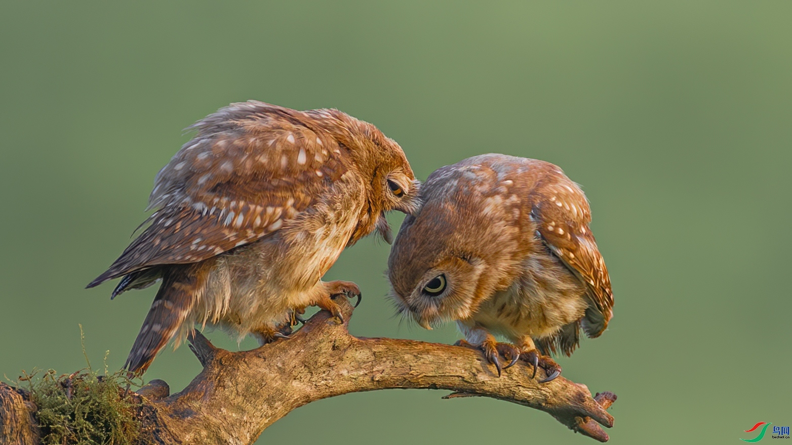 Сè ���� �䱾���� �ܶ�.jpg