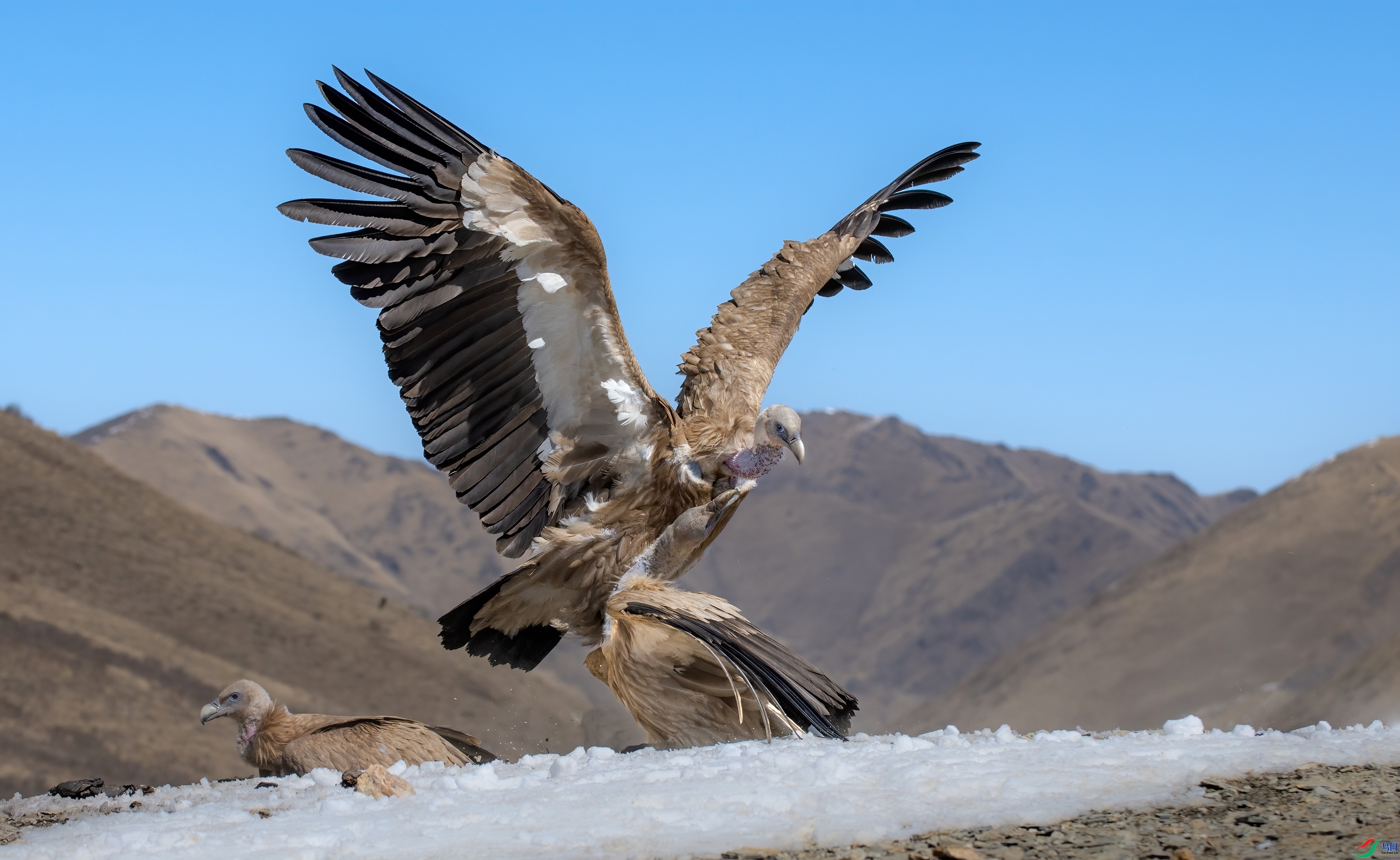 ����ѹ�� ���� ��Ͽ֮�� ����.jpg