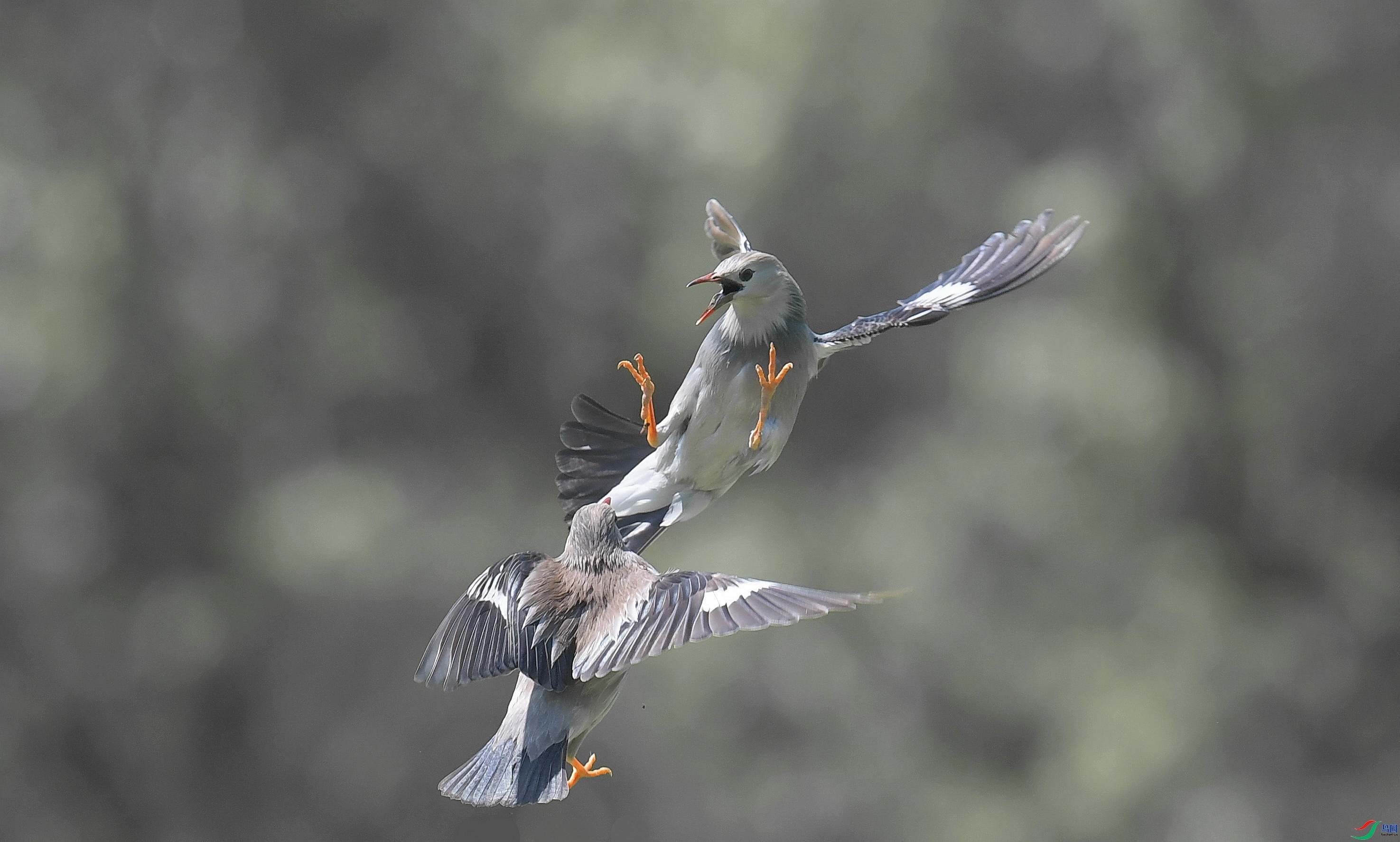 ������� ���� ����뻳 ����.jpg