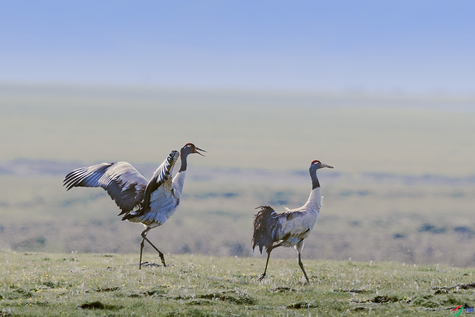 �ھ��� ���� ��ͥ�Ų�yes  ����.jpg