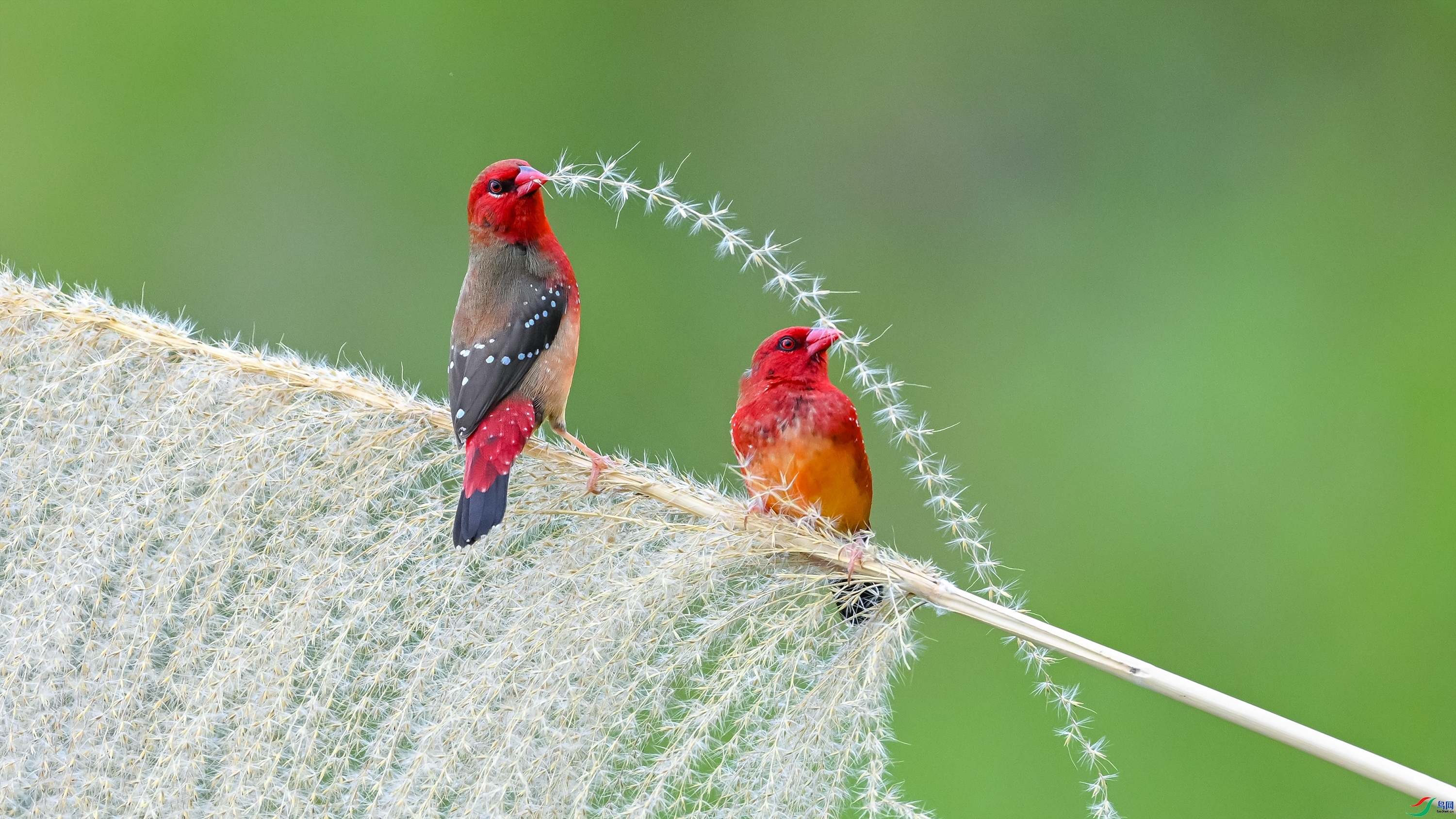 һ�������� ���� ������ͷ ����.jpg