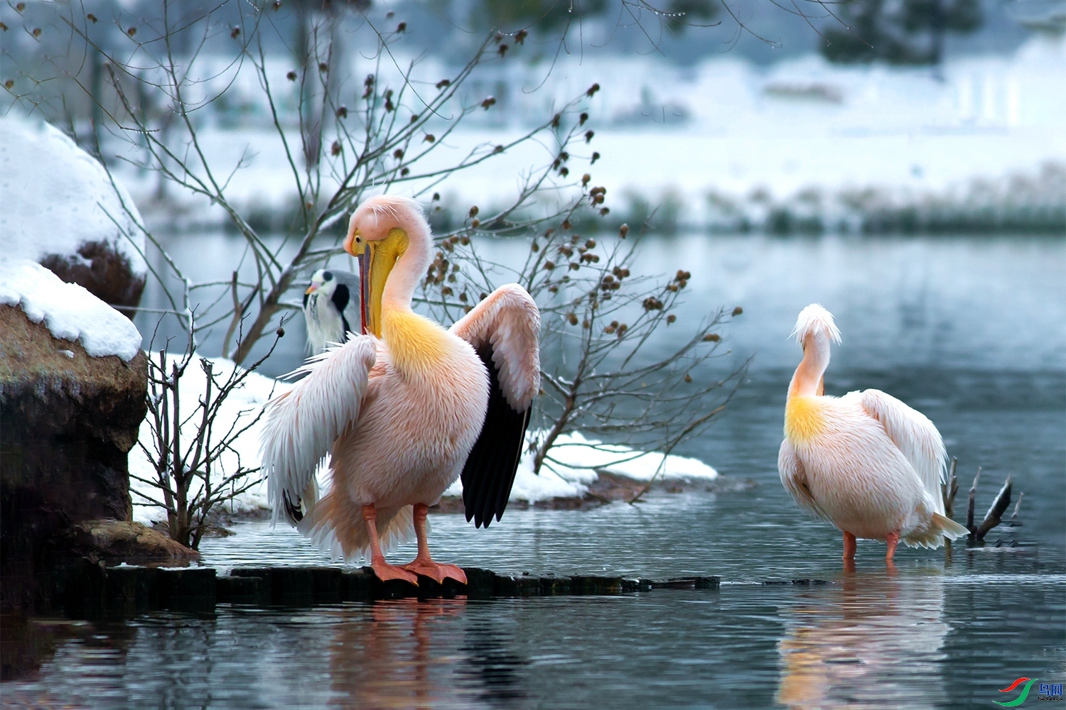 ��ױ ���� ͧ�� ����.jpg