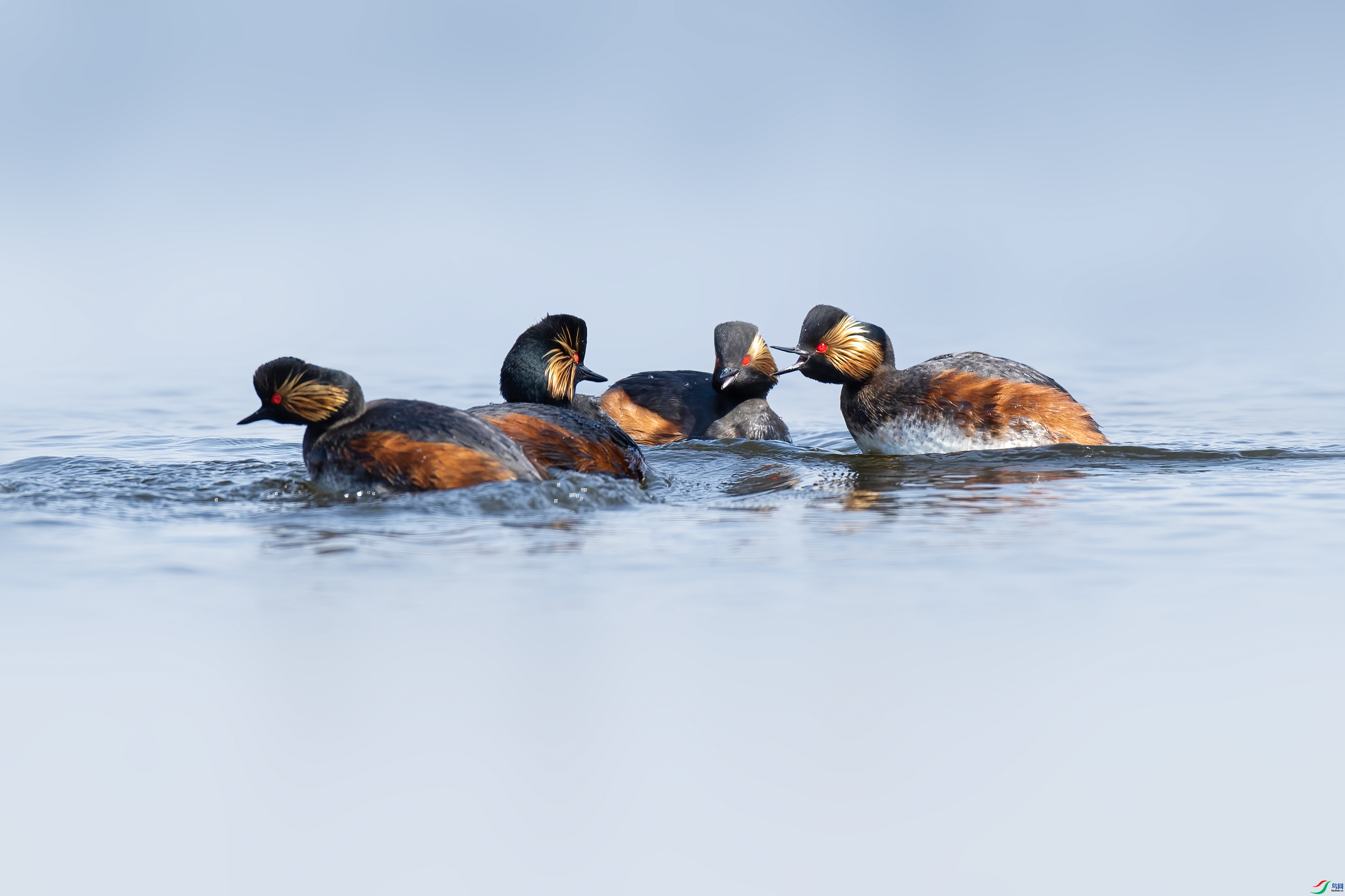 ��սǰϦ ���� ����· ����.jpg