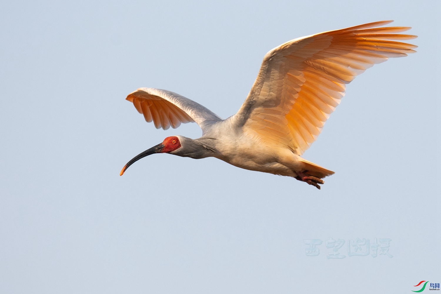 WY8_1306-1.jpg