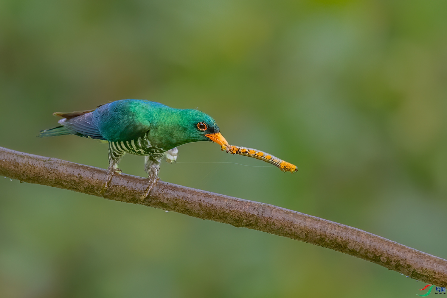 _DSC9709-1.jpg