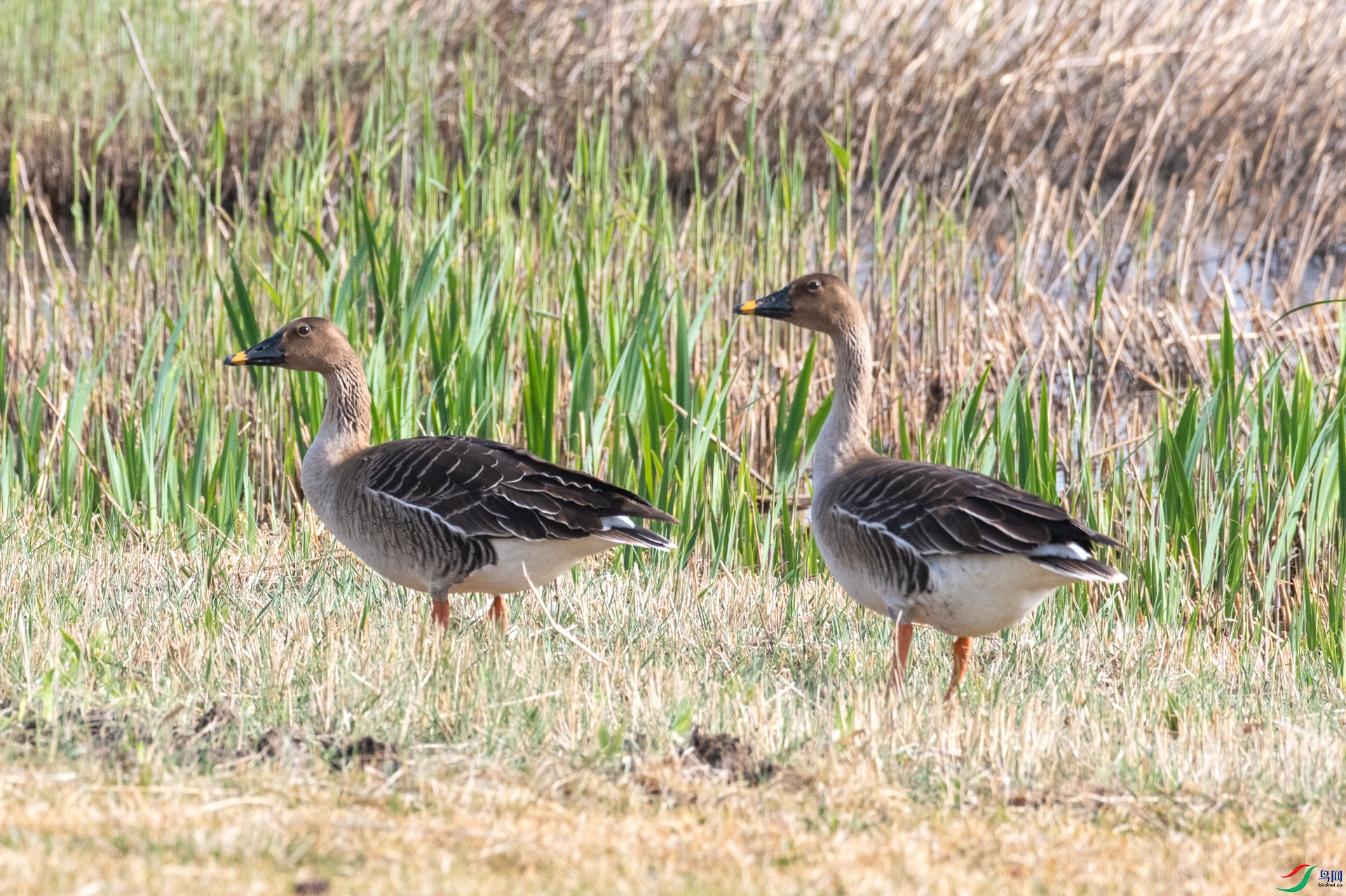 DSC_1293.jpg