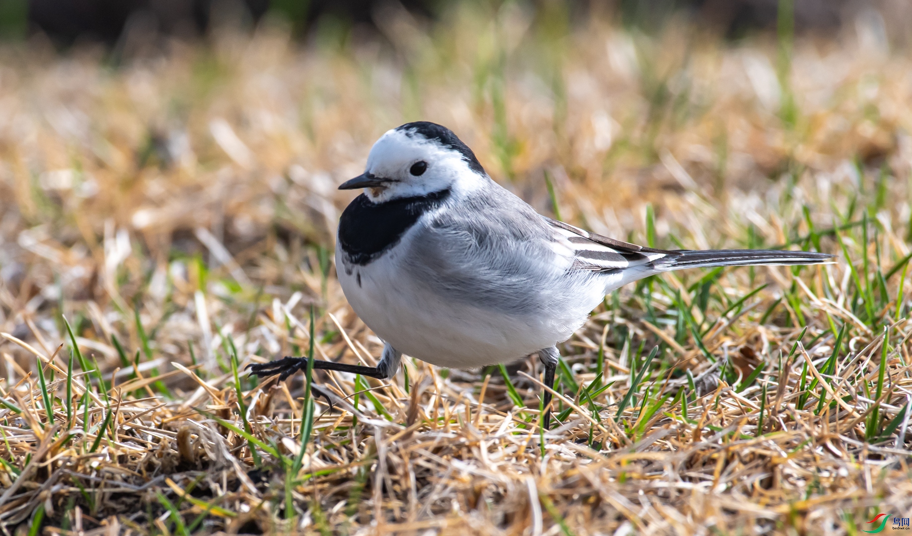 DSC_1421.jpg