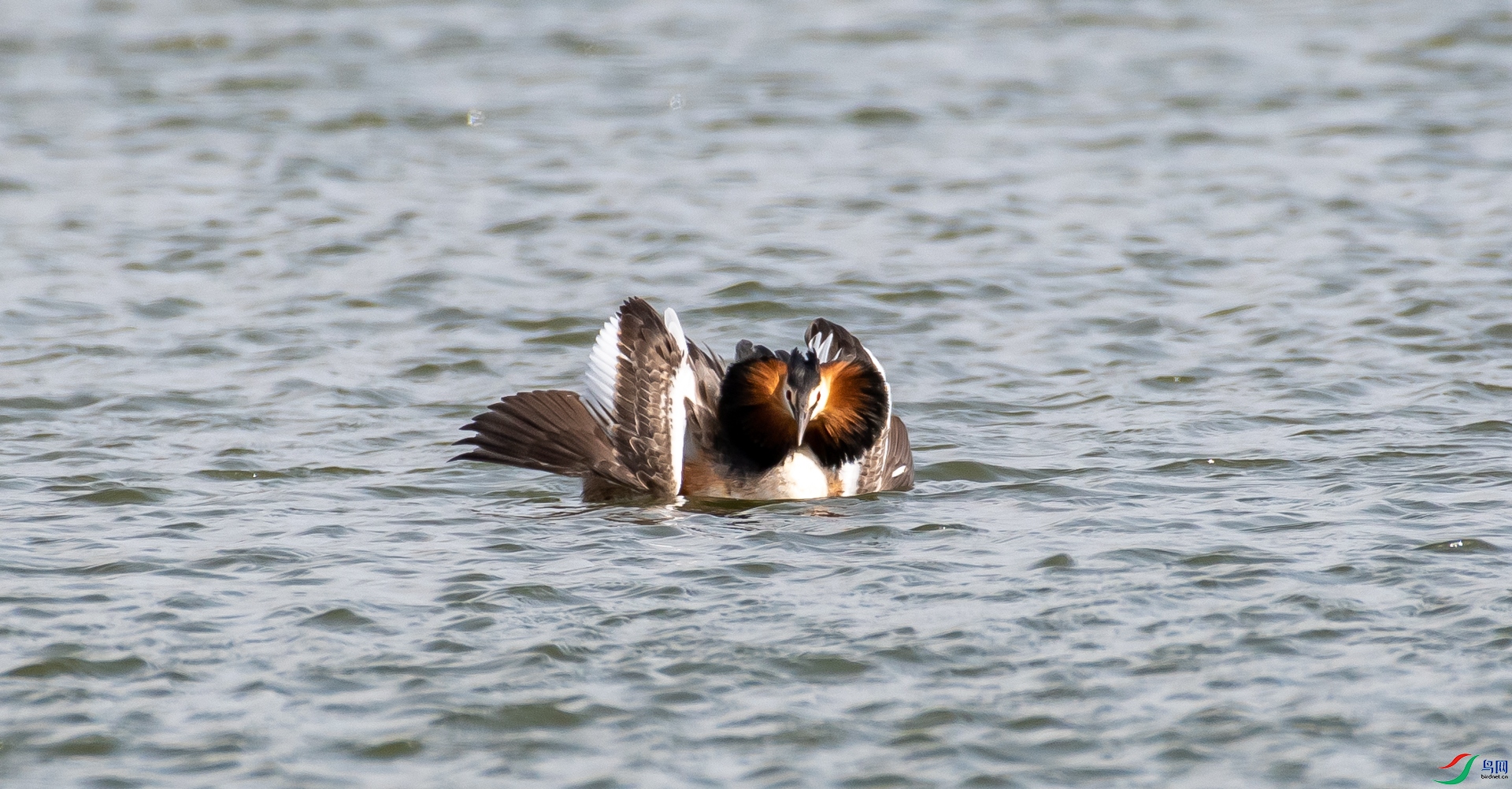 DSC_1669.jpg
