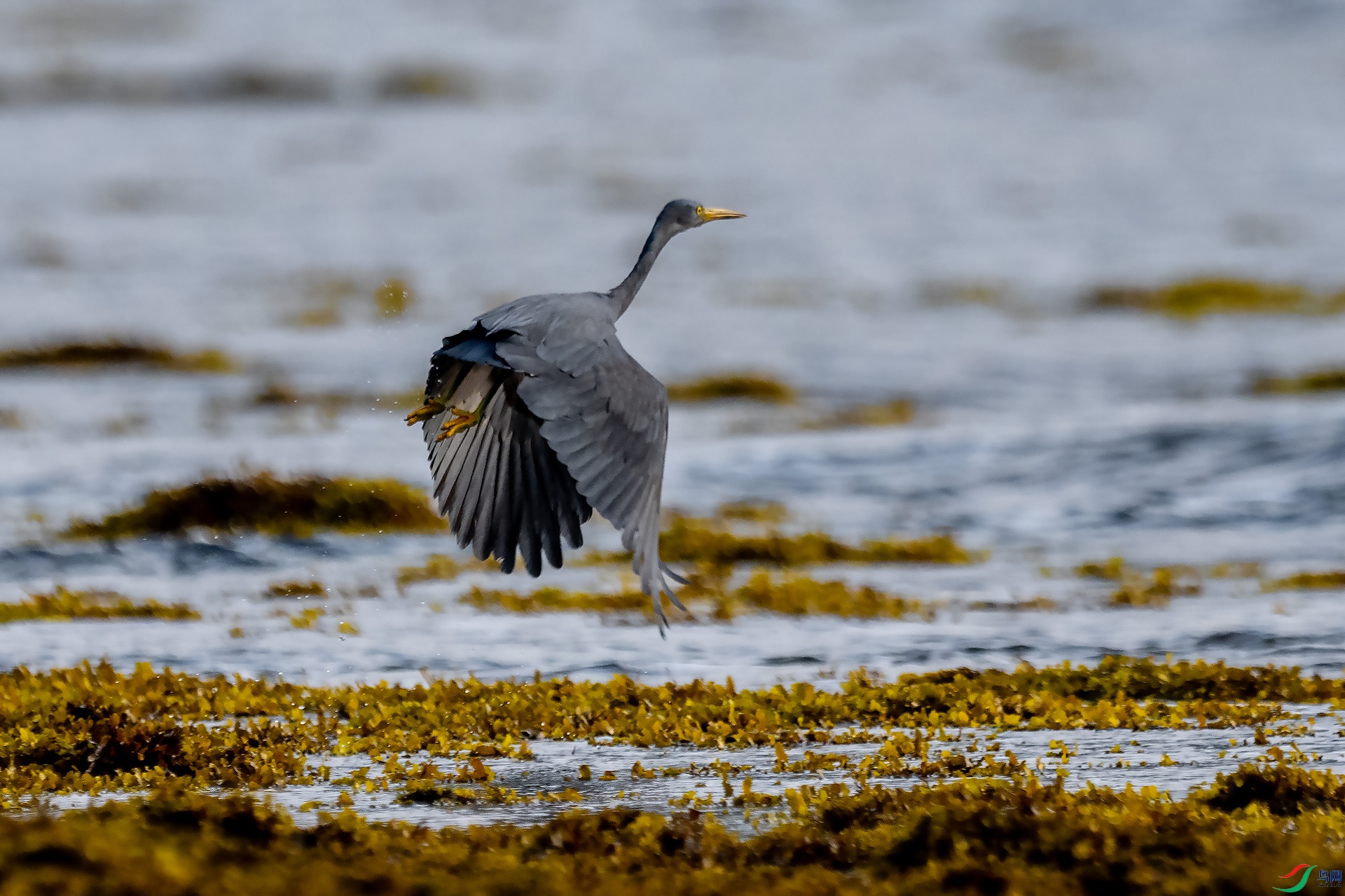 DSC_2636.jpg