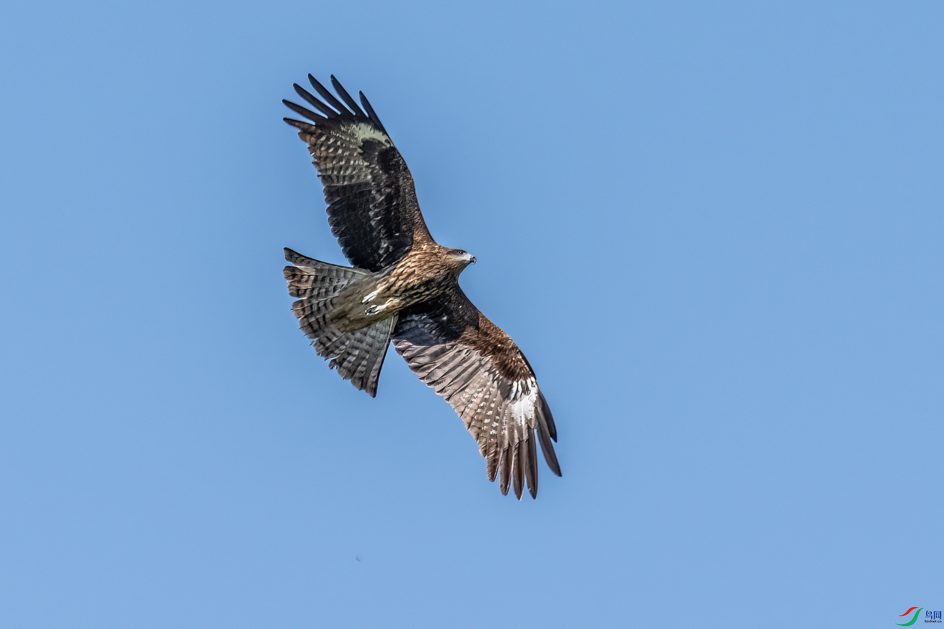 DSC_0020.jpg