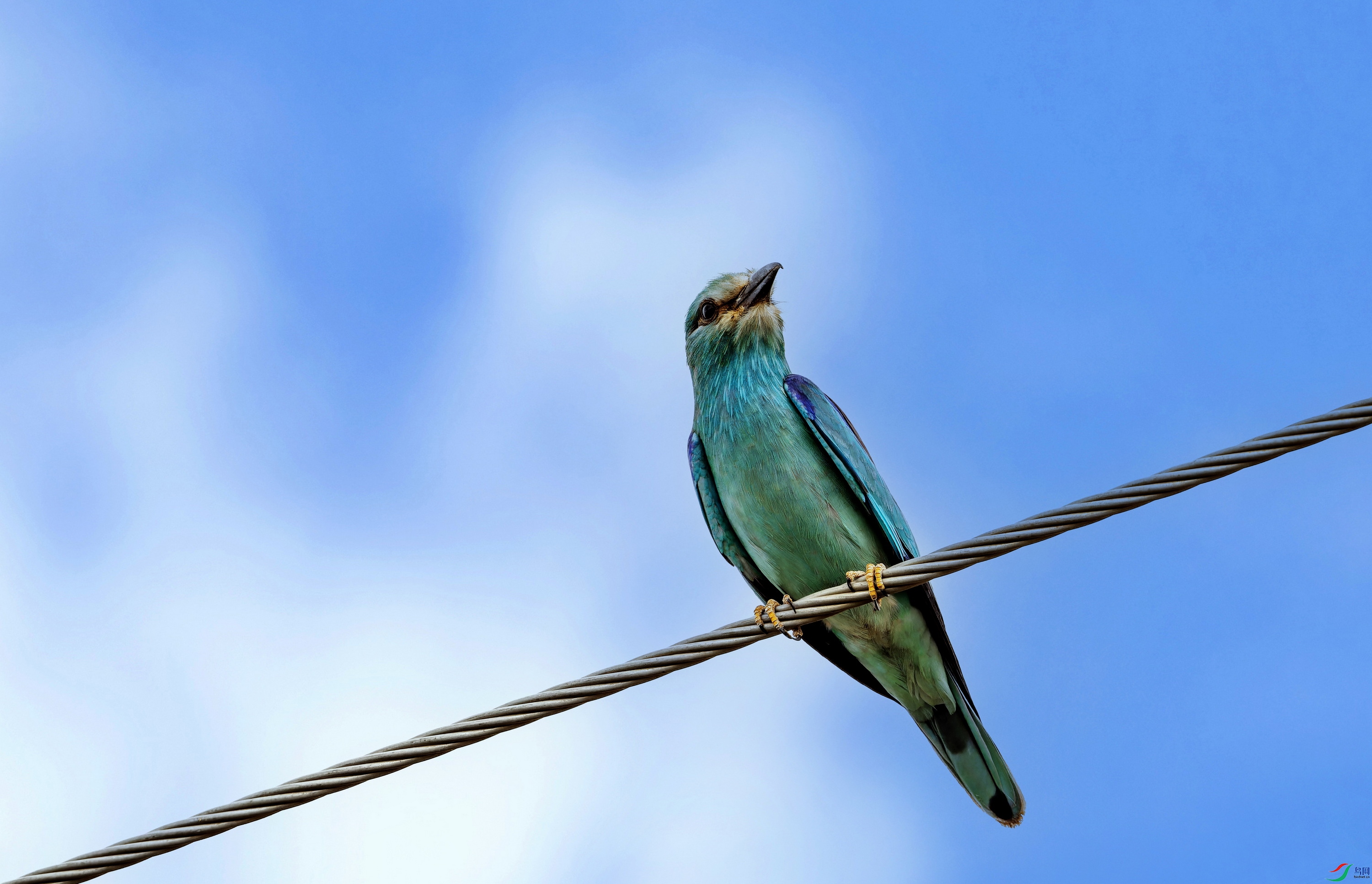 ���ط�ɮ (7)-1.jpg