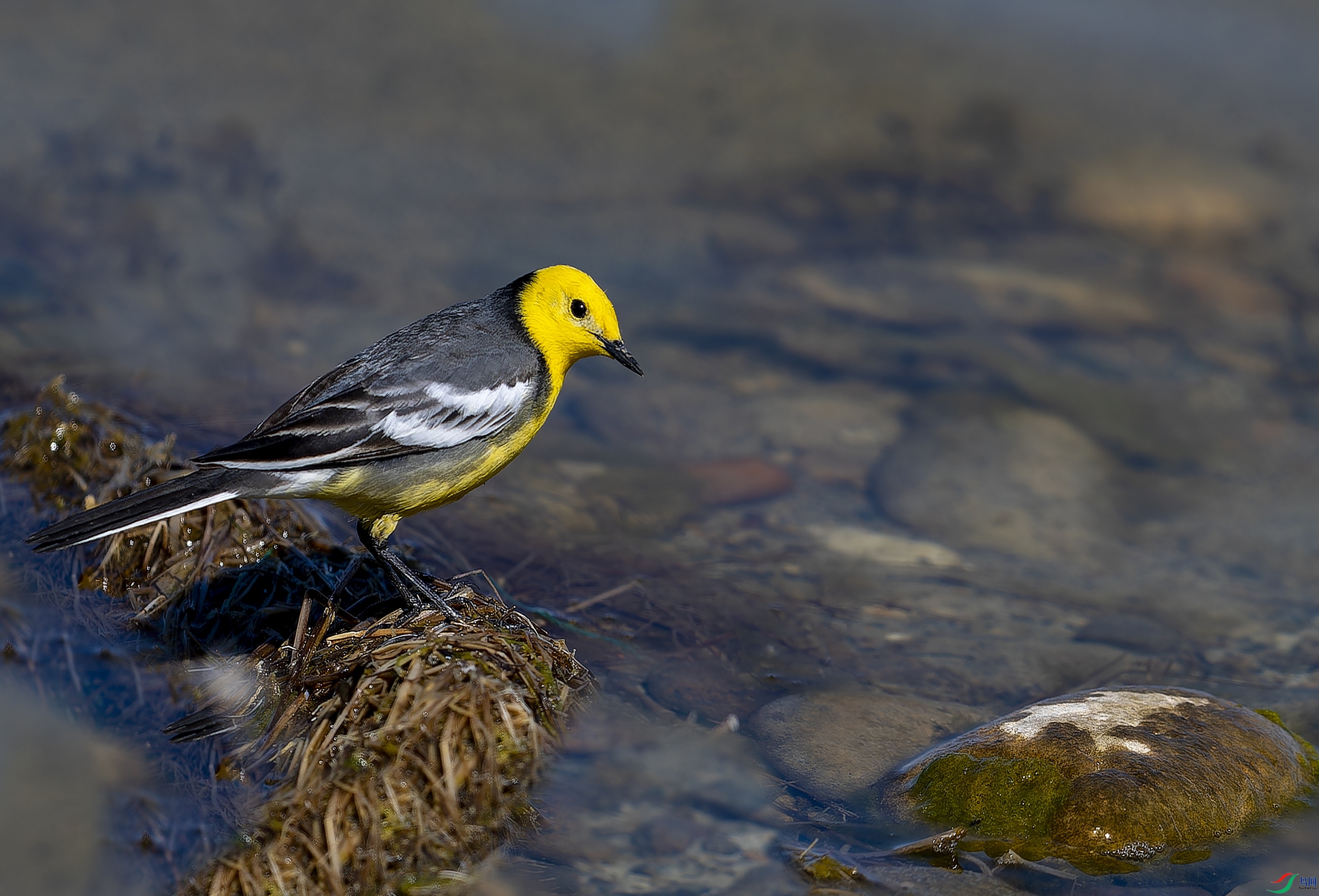 ��ͷ�n�_2 (5)-1.jpg