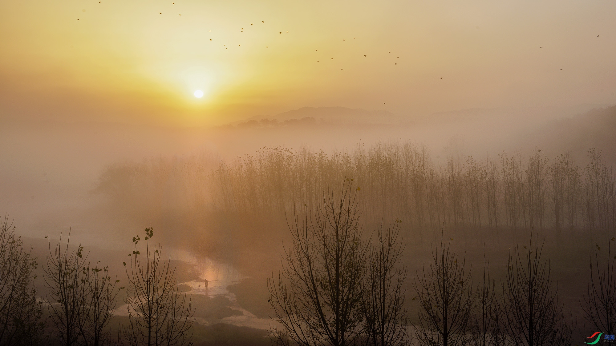 _XSX7947 ����.jpg