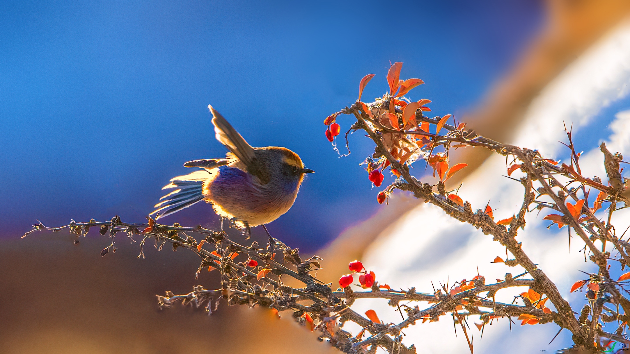 _DSC4190 ���� 2.jpg