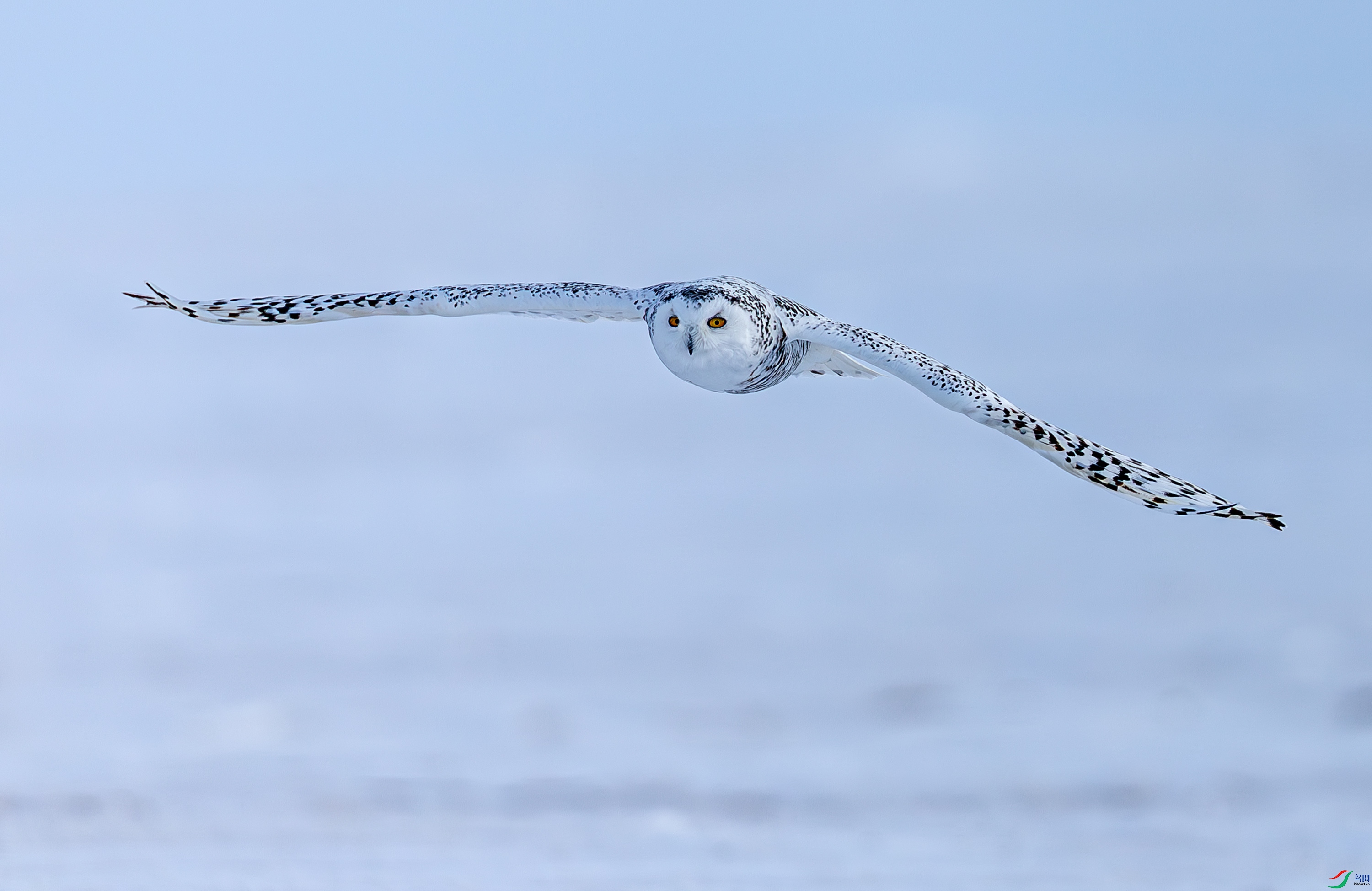 _72A2865-����ǿ-NR.JPG