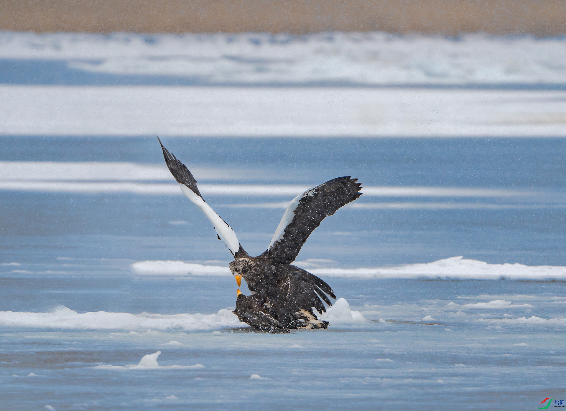 _DSC9495-����ǿ-NR ����.jpg