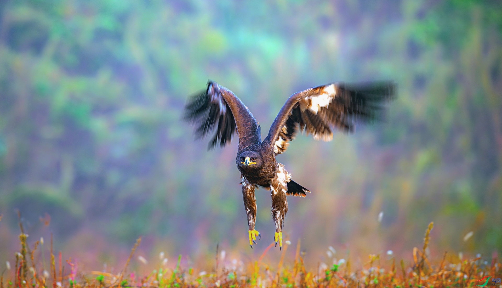 _DSC3065==1w.jpg