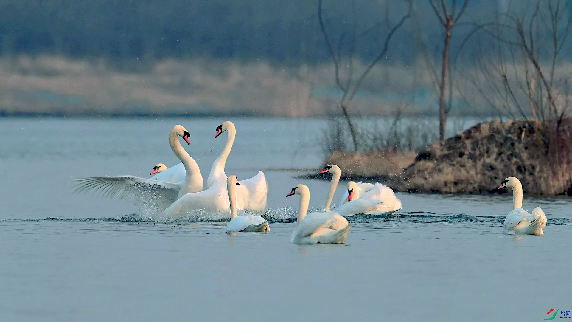 DSC_0128==1w.jpg