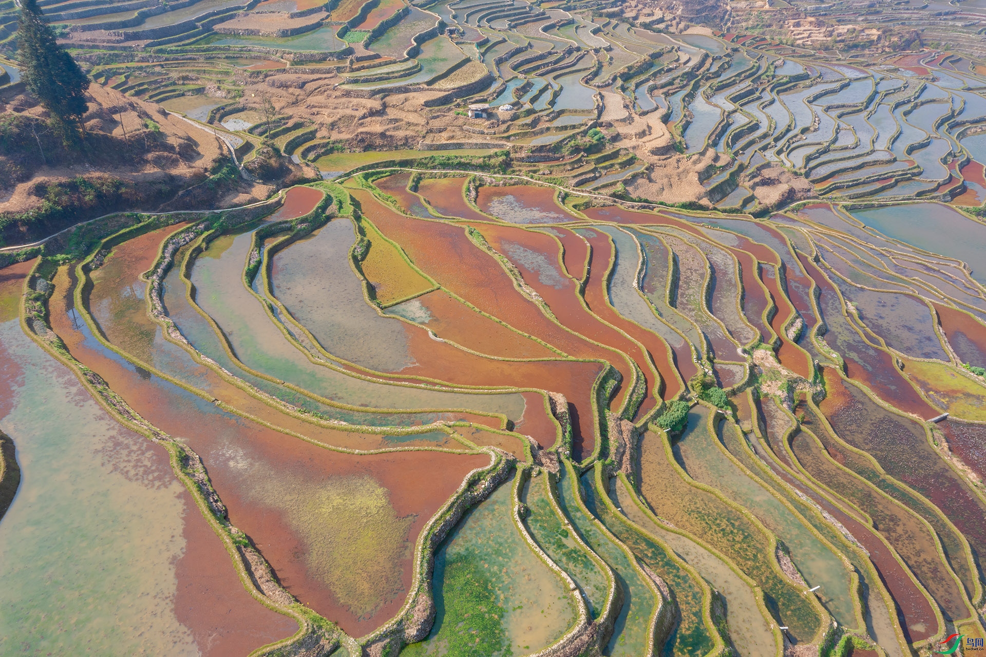 DJI_0029 -1.jpg