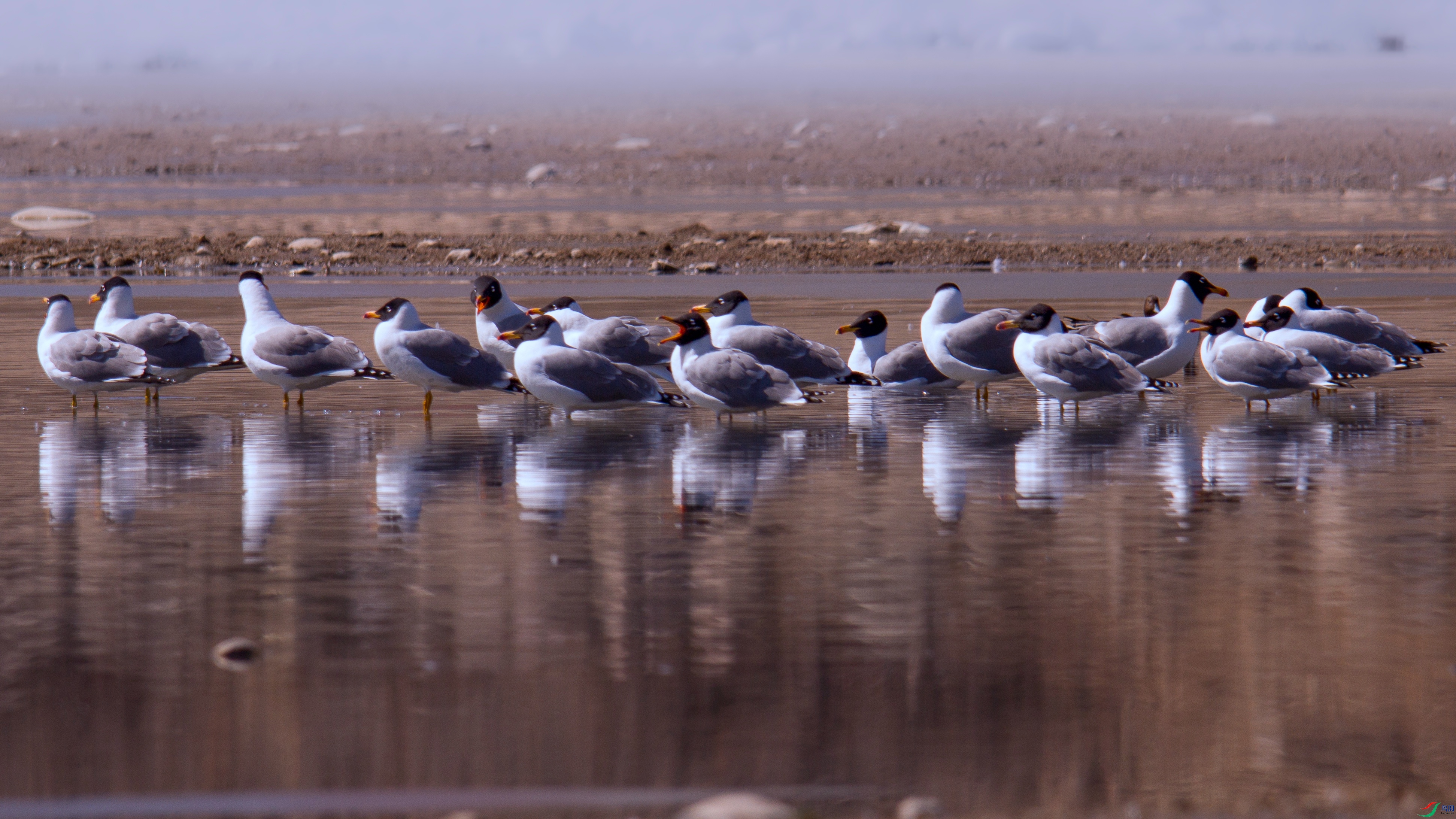 IMG_0535 ���� - ����.jpg